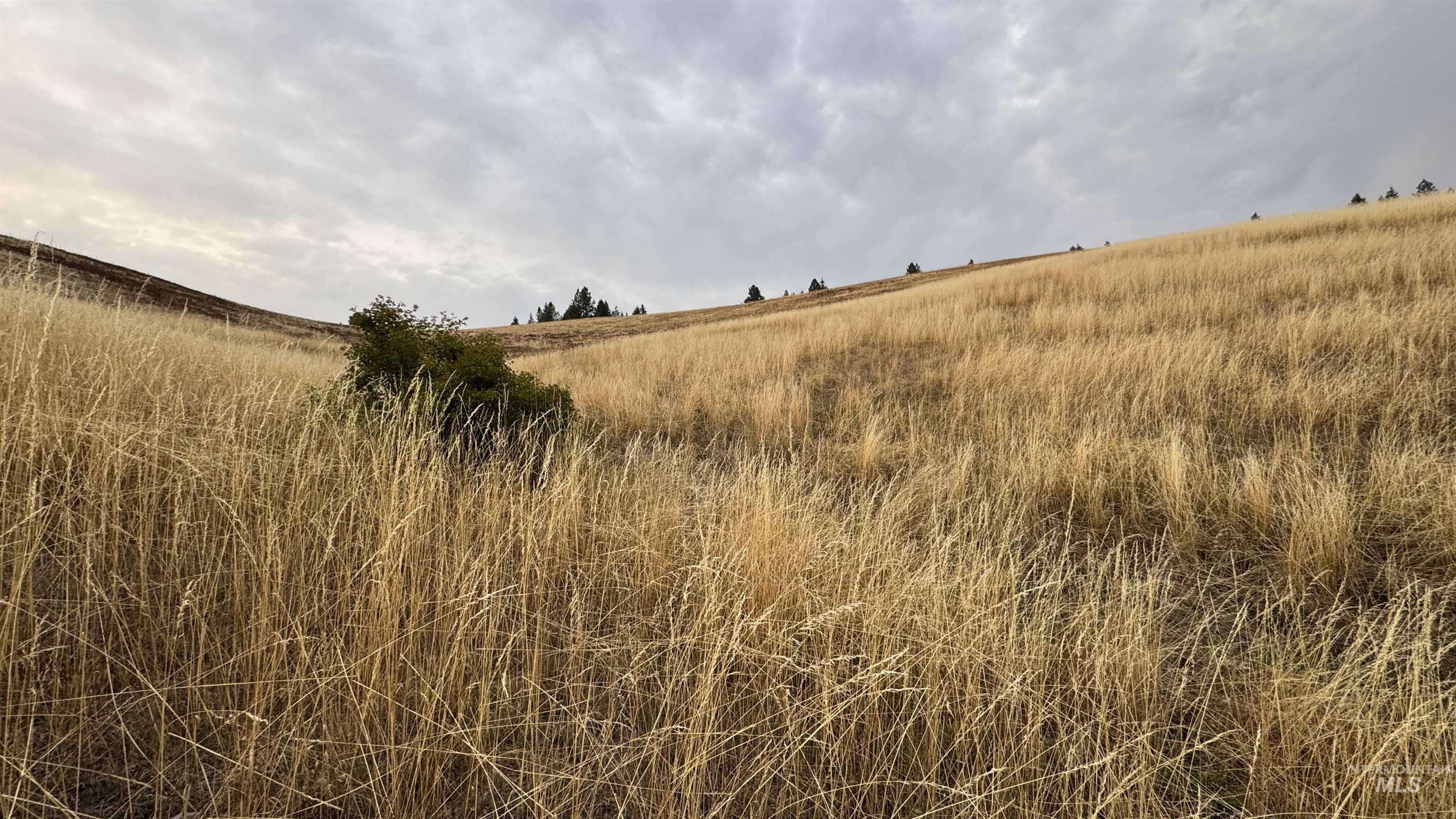 View of nature with rural landscape