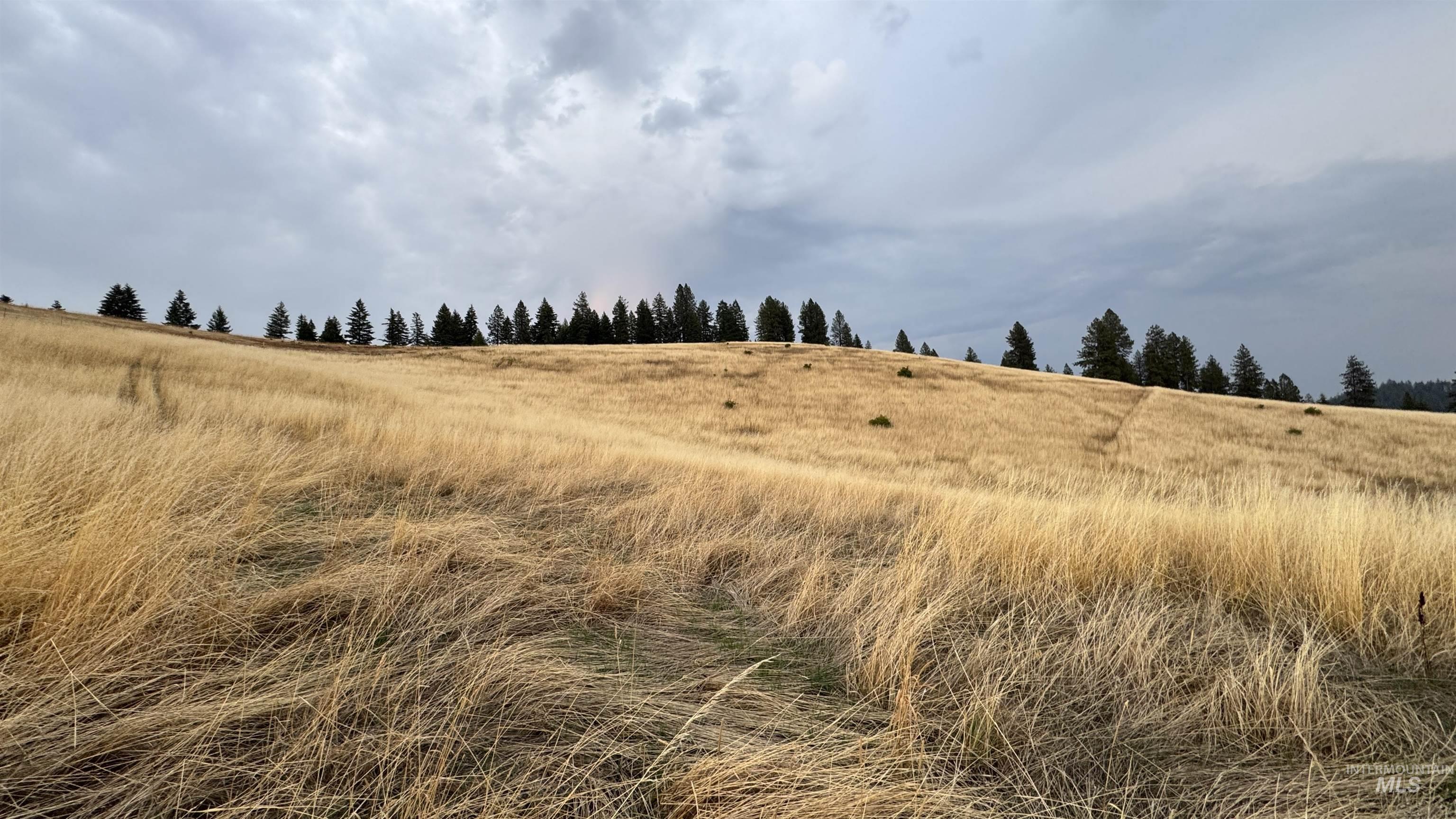 View of local wilderness featuring rural landscape