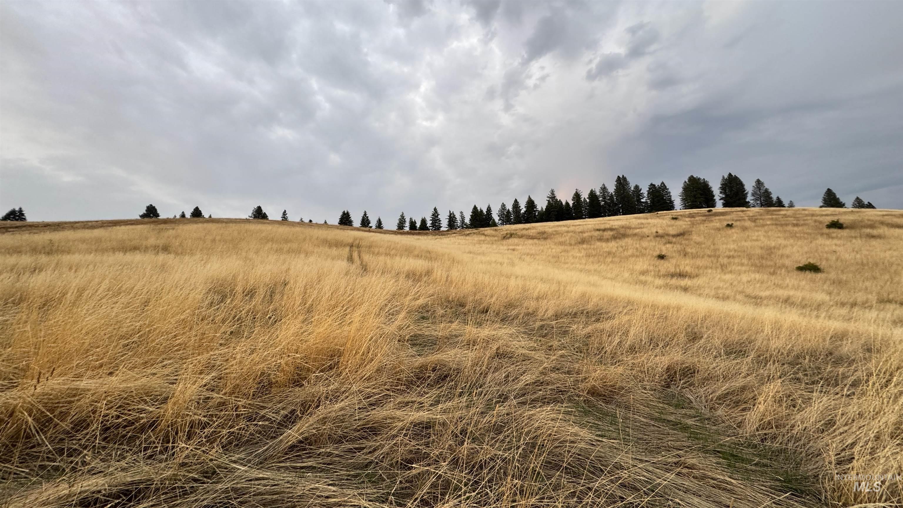 View of undeveloped land featuring rural landscape