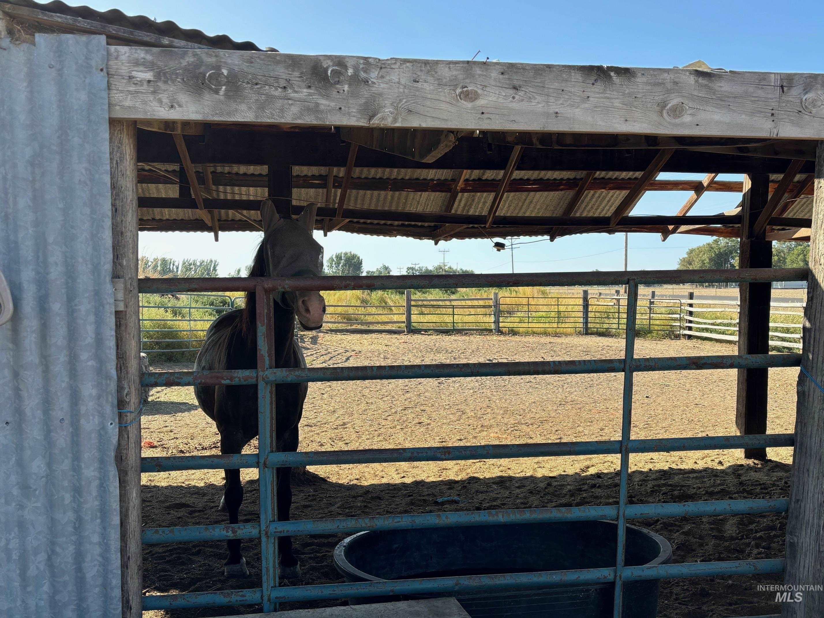Stable featuring a rural view