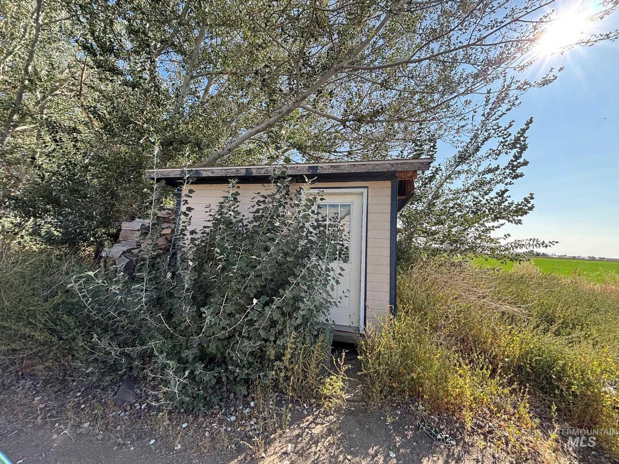 View of shed