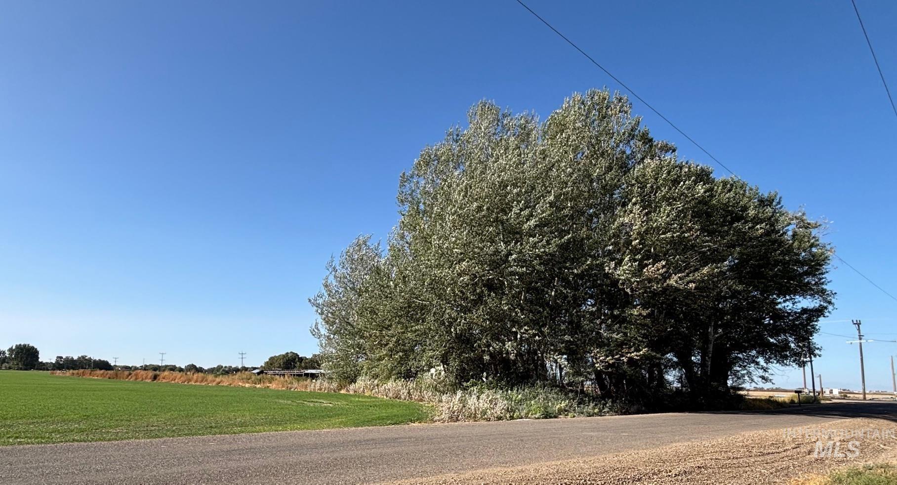 View of asphalt road