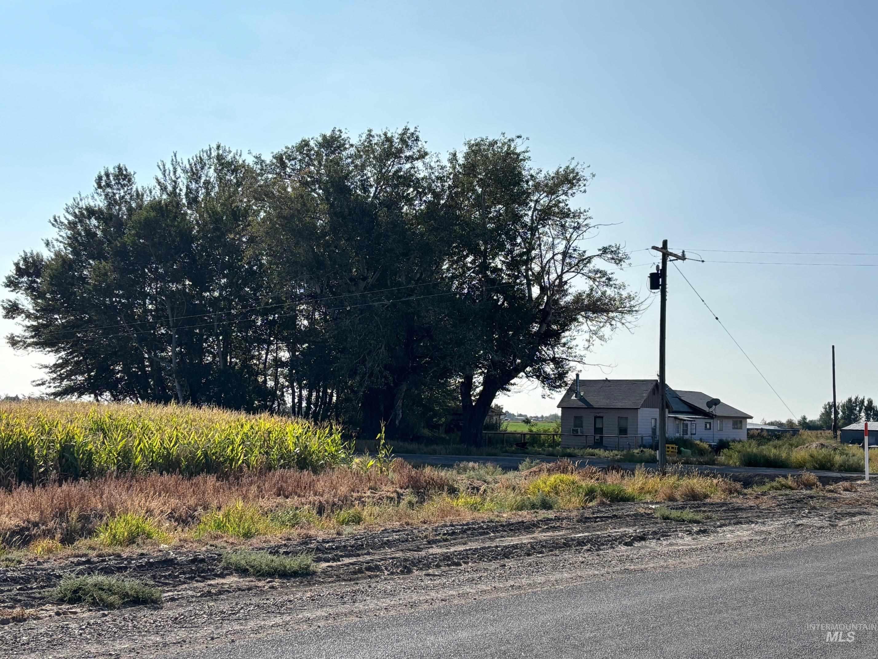 View of asphalt street
