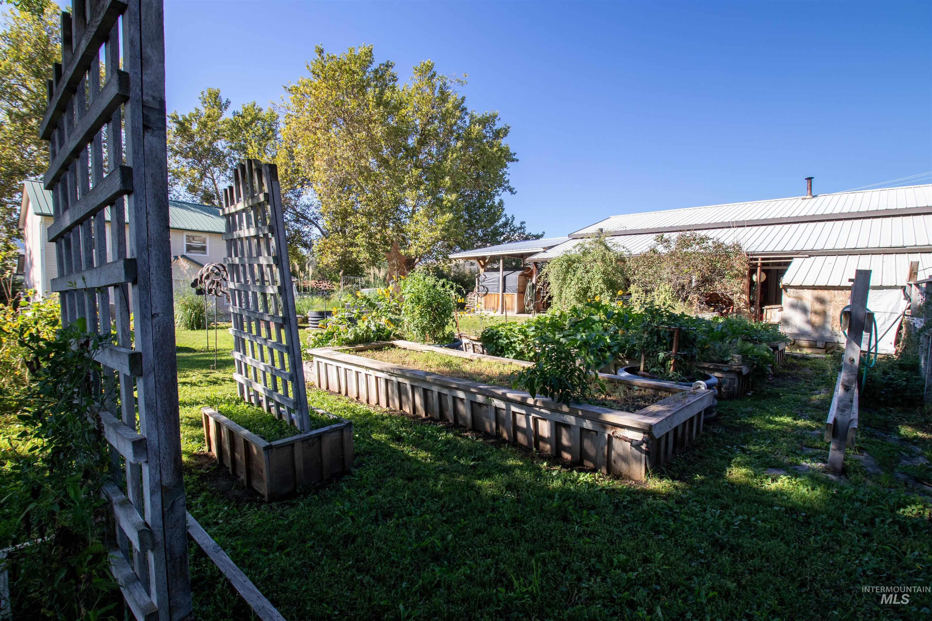 View of grassy yard with a vegetable garden