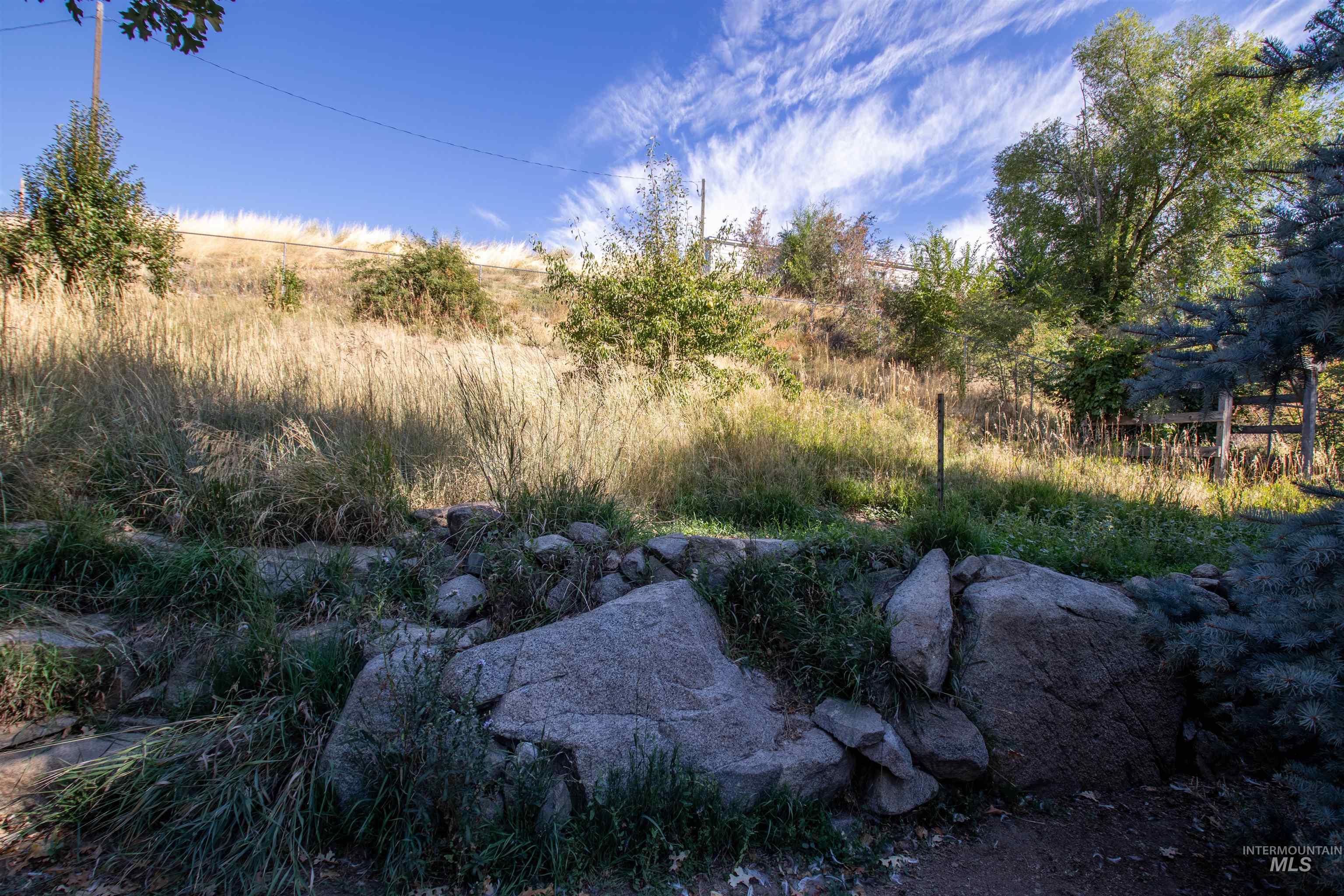 View of undeveloped land