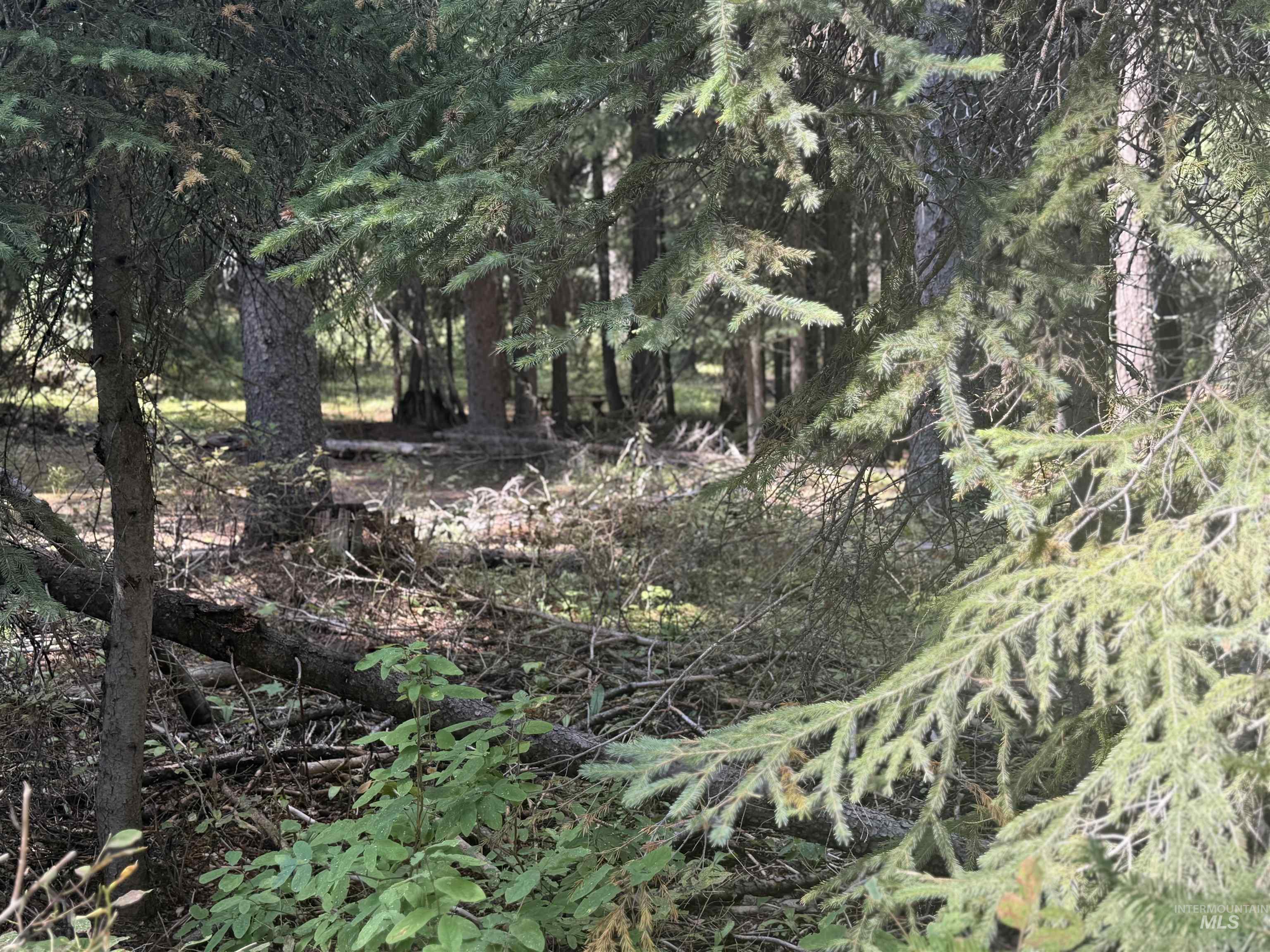 View of nature