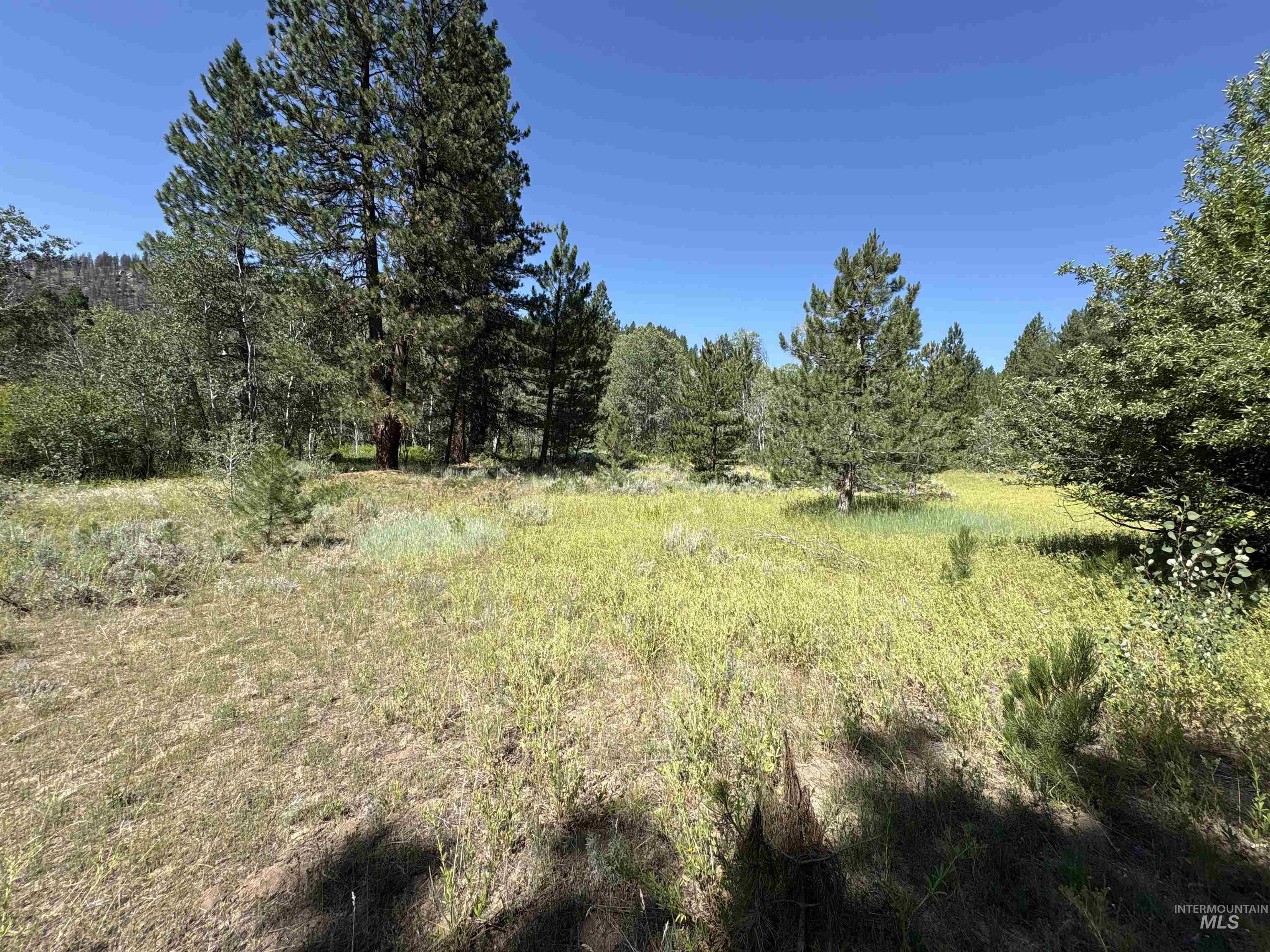 View of undeveloped land featuring rural landscape