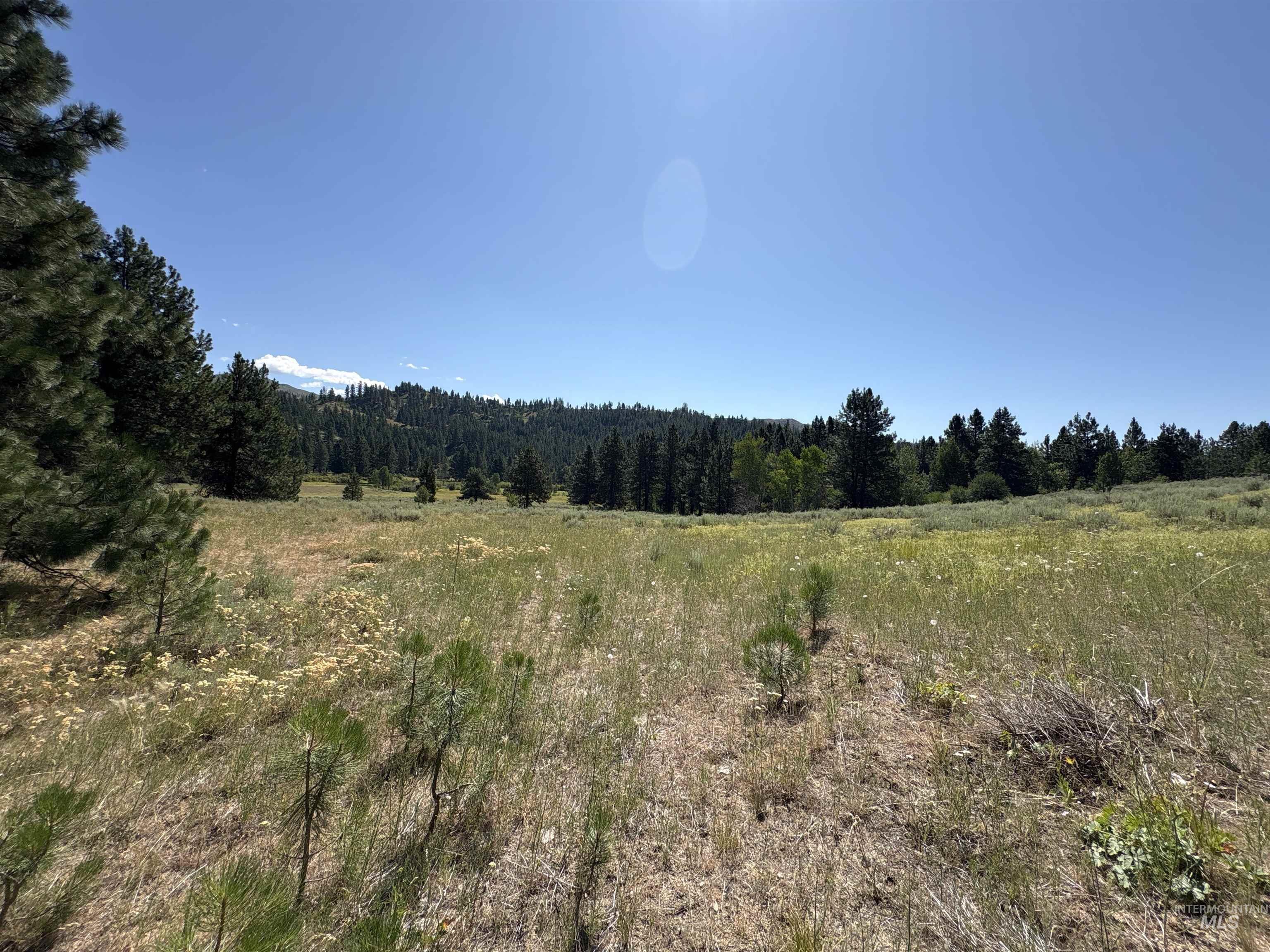 View of tree filled area featuring a view of rural / pastoral area