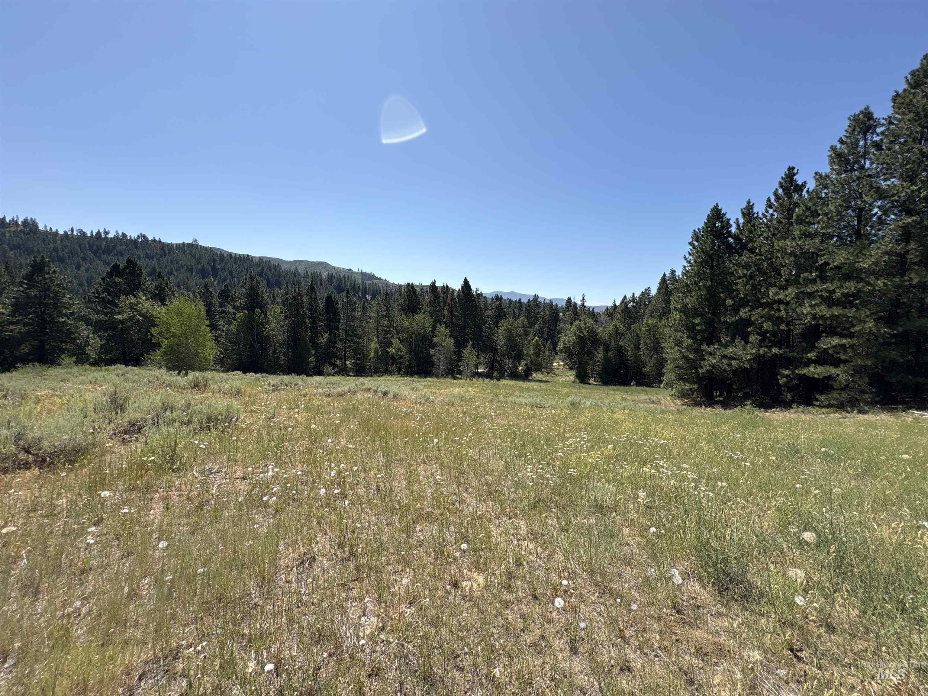 View of woods featuring a rural view