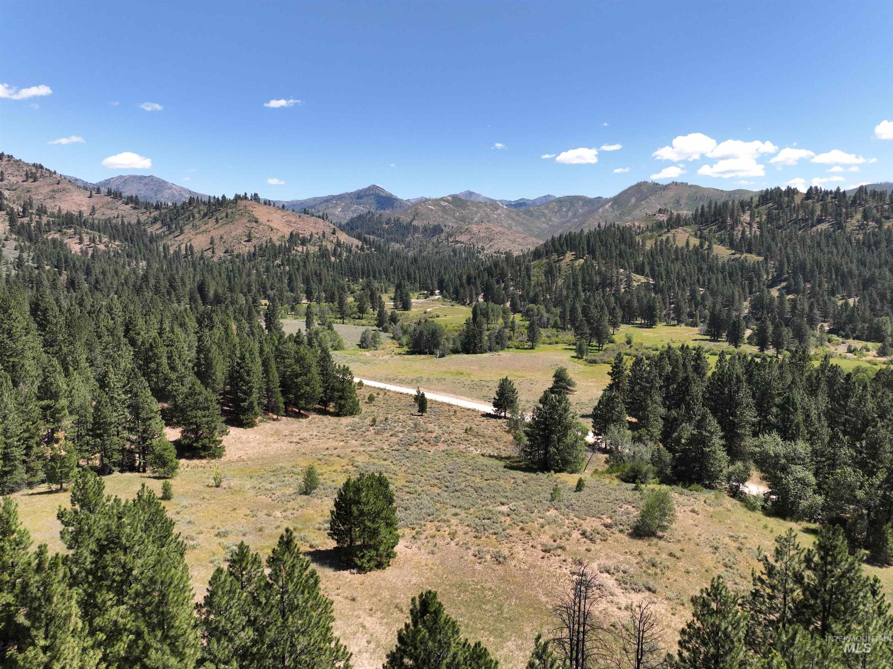 View of mountain backdrop with a forest