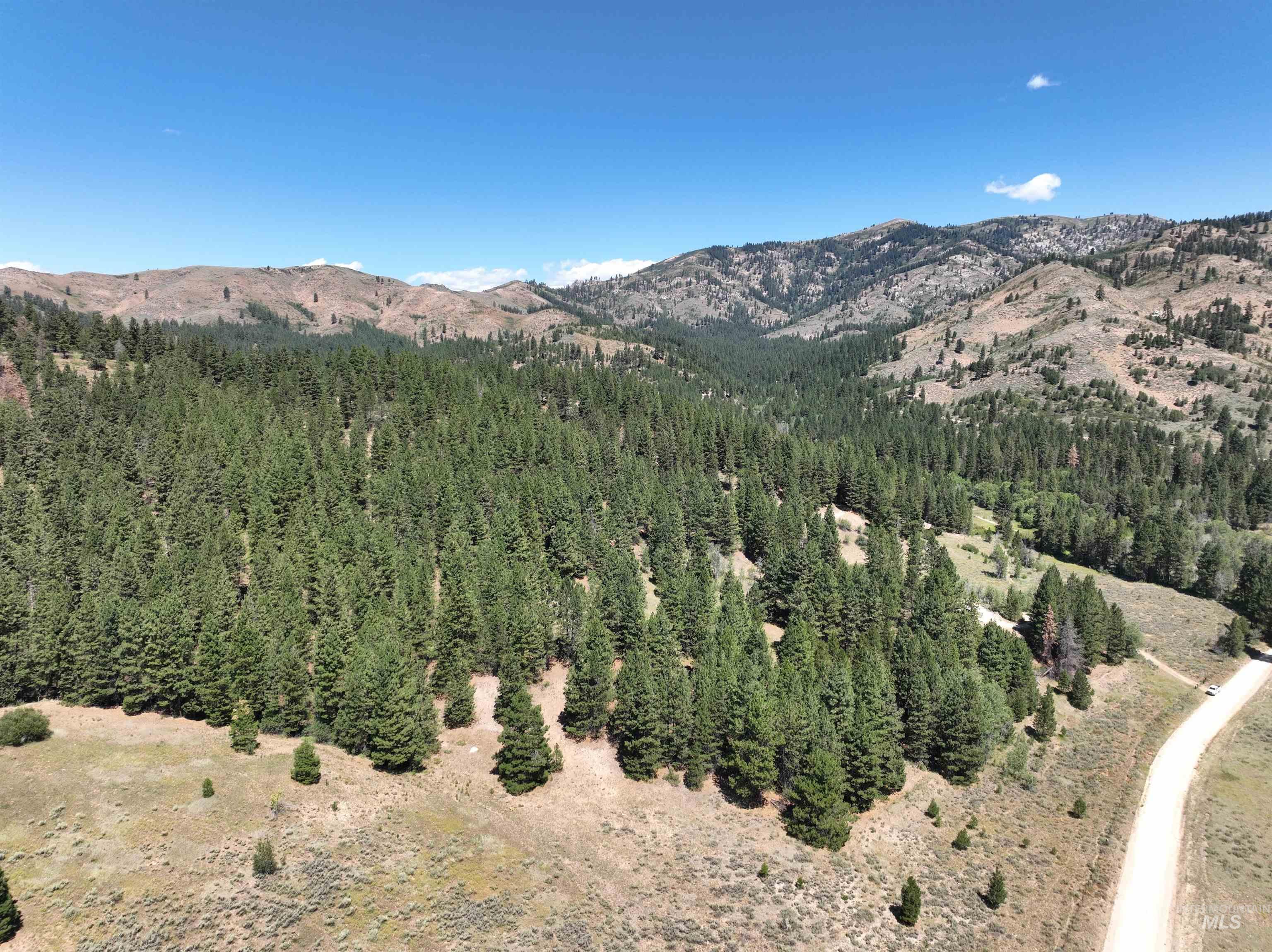 View of mountain backdrop with a heavily wooded area