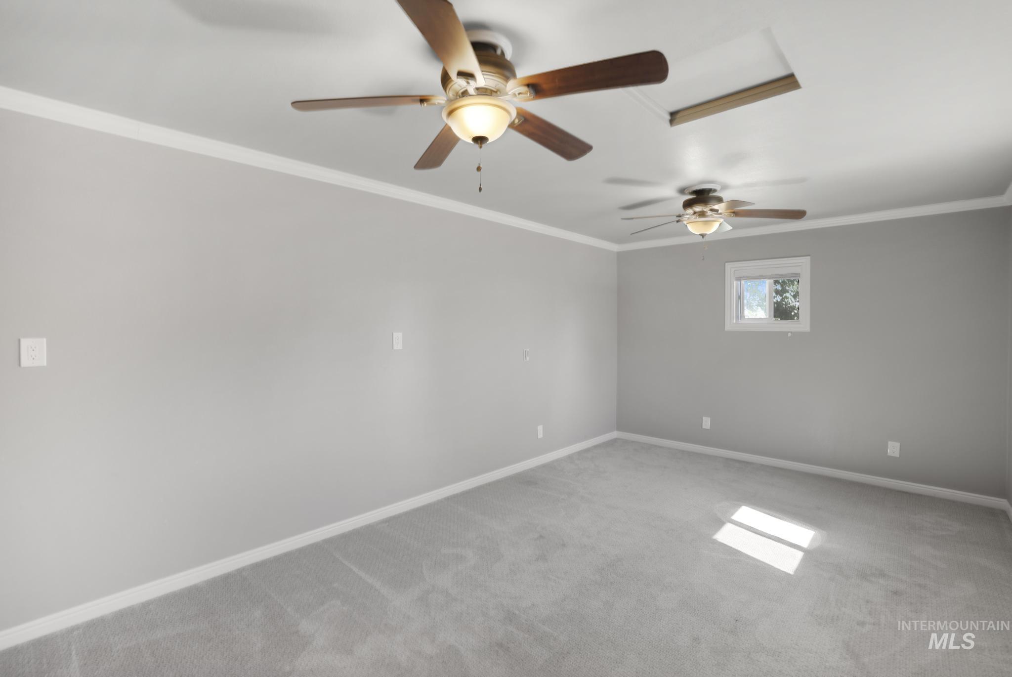Spare room with crown molding, carpet, and a ceiling fan