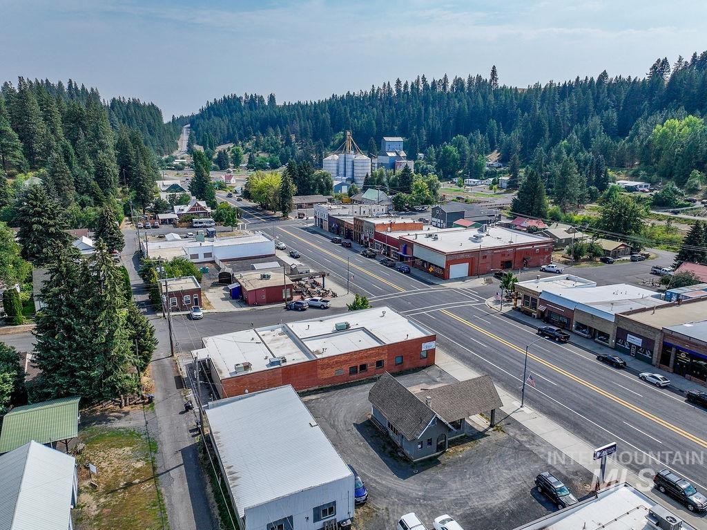 Bird's eye view of a forest