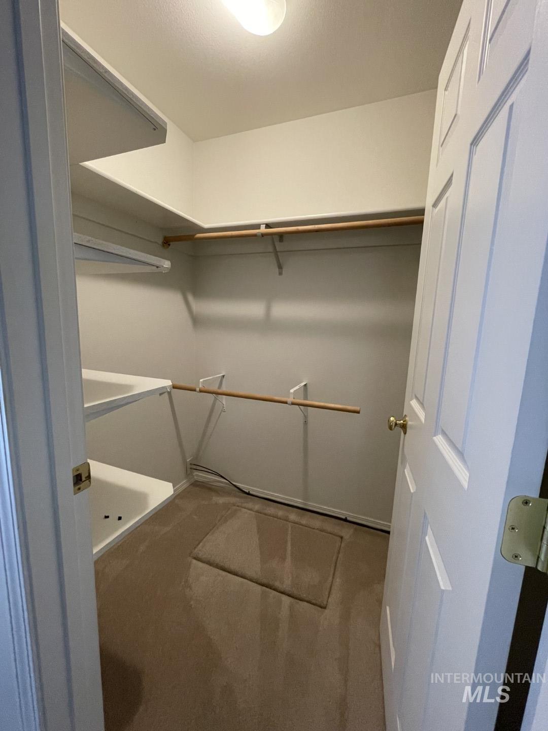 Walk in closet with carpet flooring