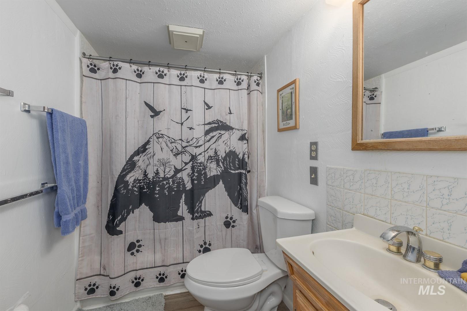 Bathroom featuring vanity, a textured ceiling, and a shower with shower curtain