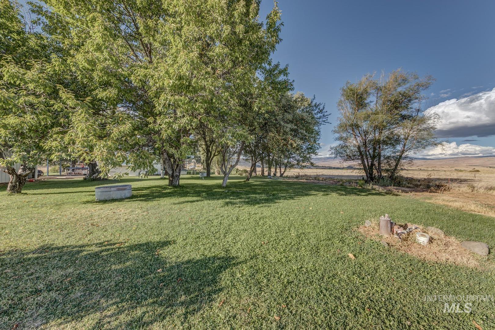 View of green lawn