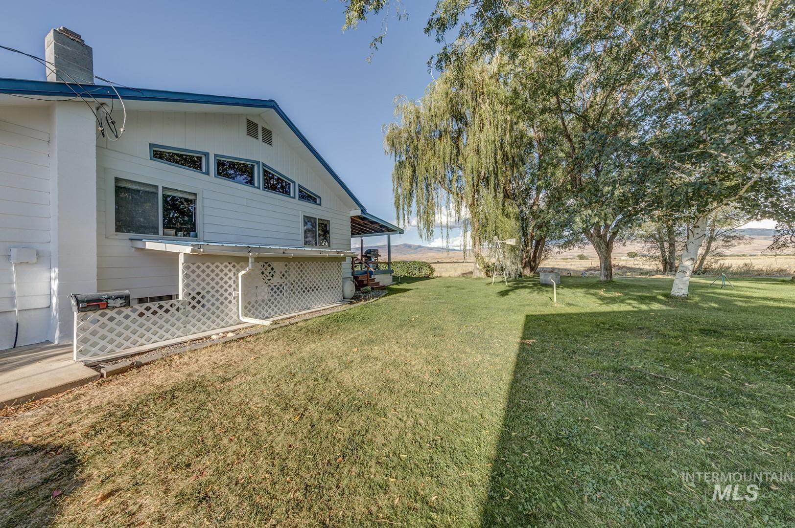 View of grassy yard