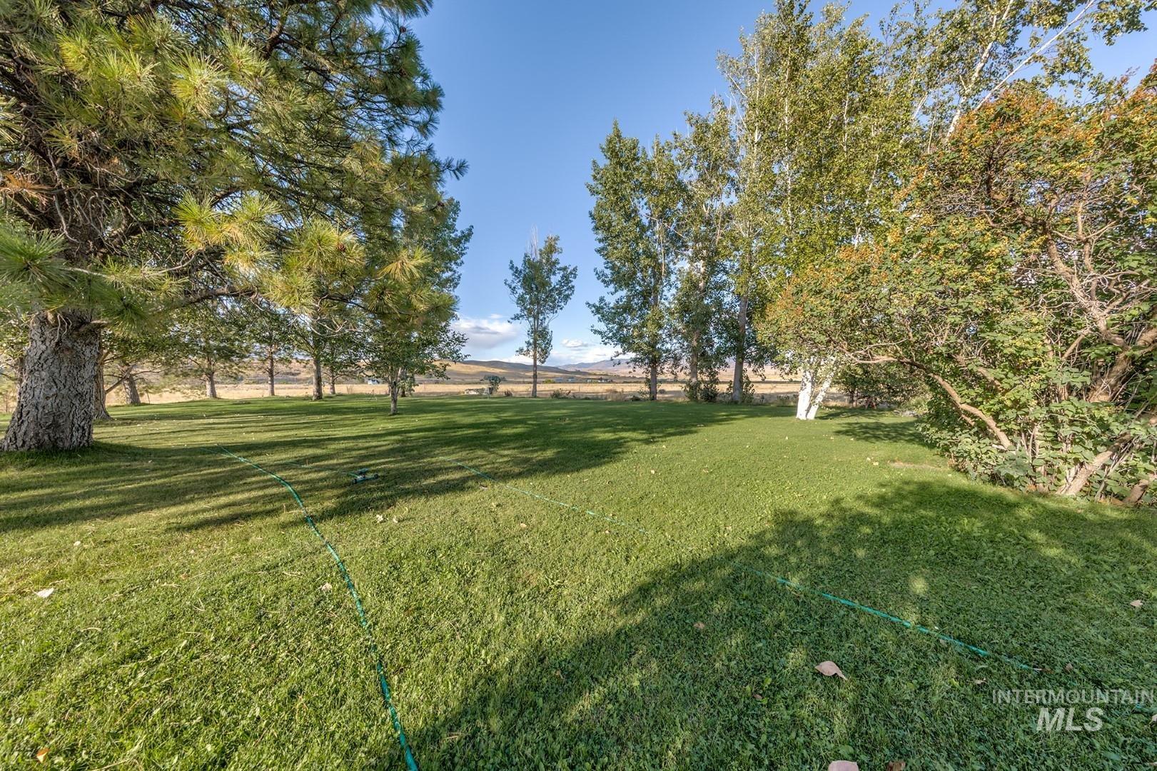 View of grassy yard