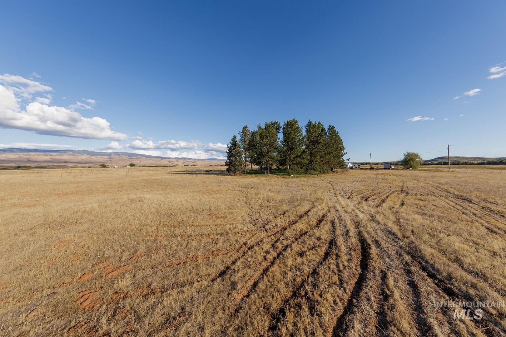 View of yard with a rural view
