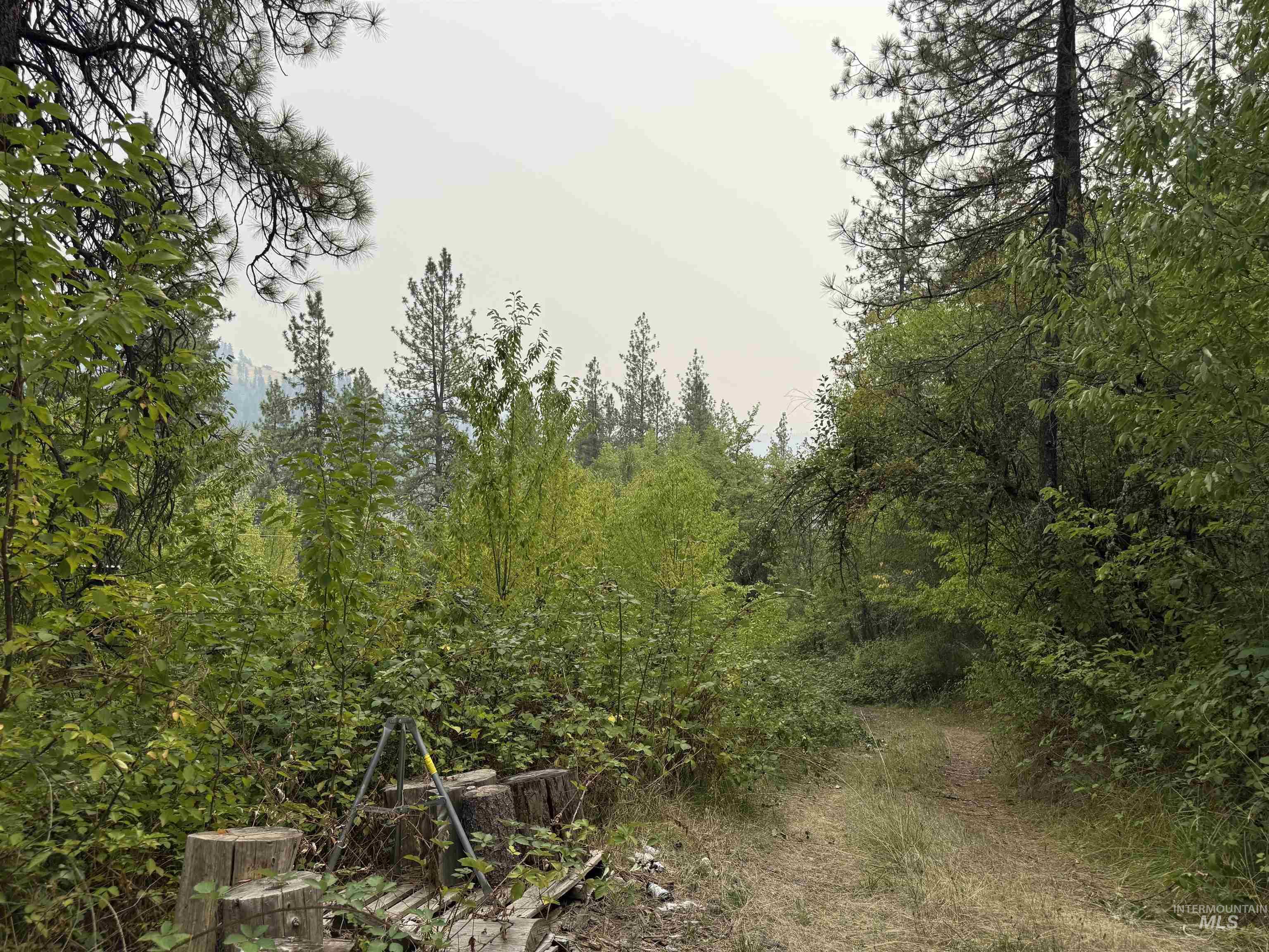 259 China Garden Rd, Harpster, Idaho 83552, Residential For Sale, Price $110,000, 98961931