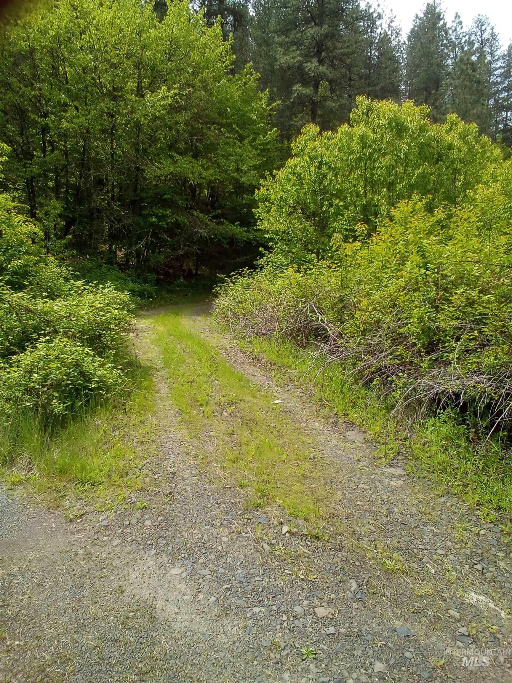 259 China Garden Rd, Harpster, Idaho 83552, Residential For Sale, Price $110,000, 98961931