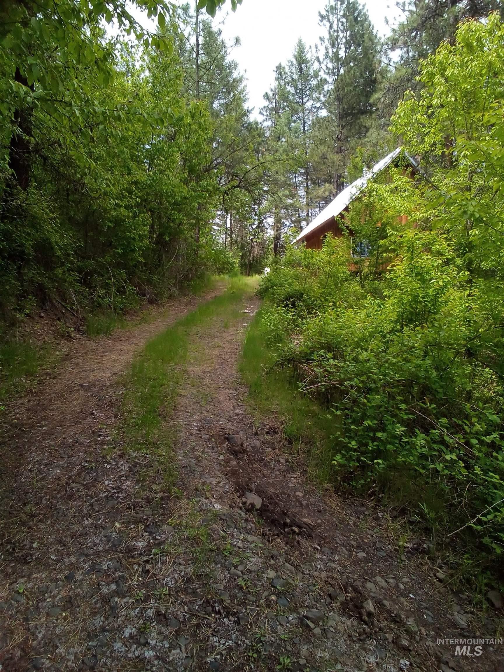 259 China Garden Rd, Harpster, Idaho 83552, Residential For Sale, Price $110,000, 98961931