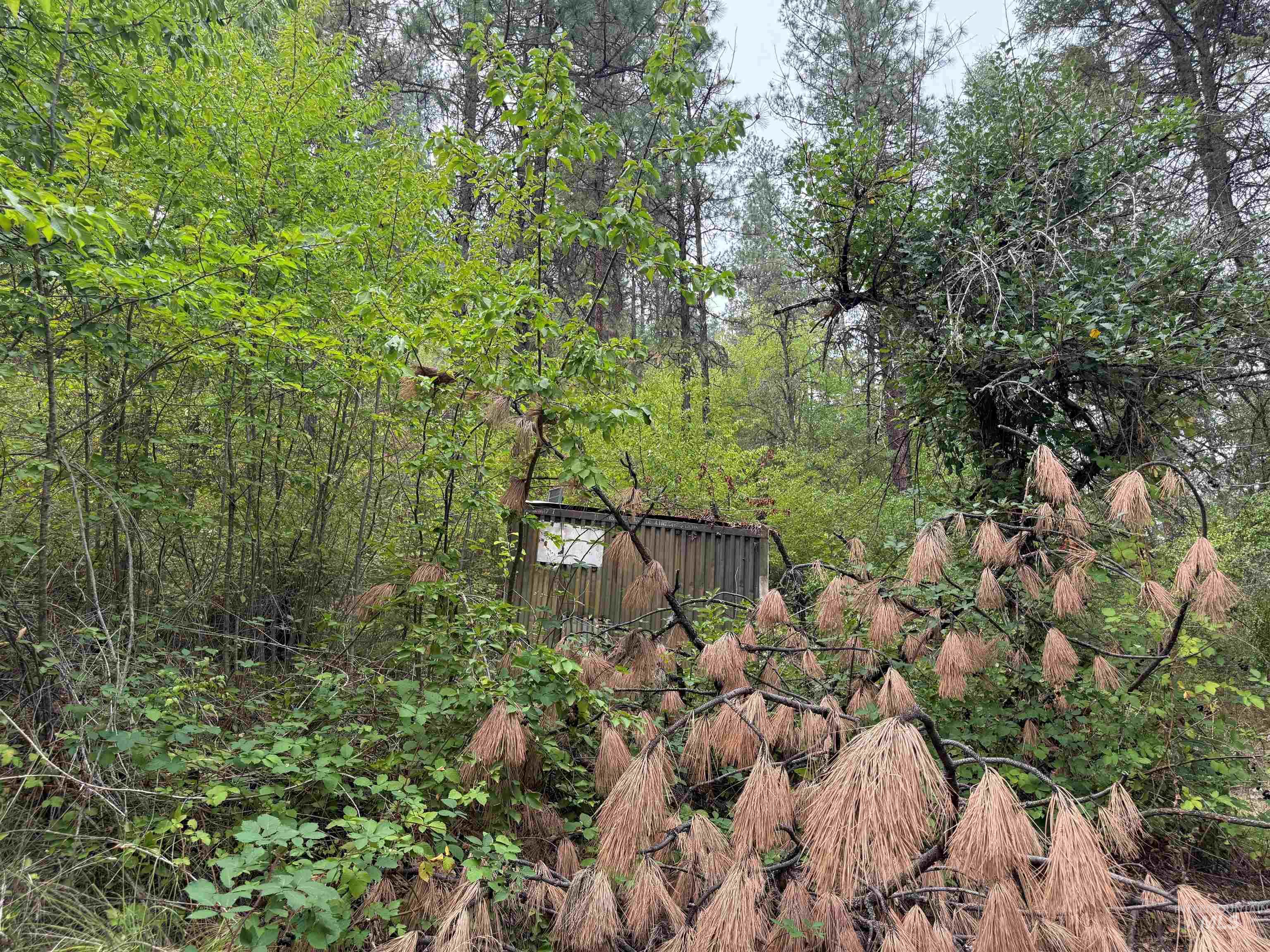 259 China Garden Rd, Harpster, Idaho 83552, Residential For Sale, Price $110,000, 98961931