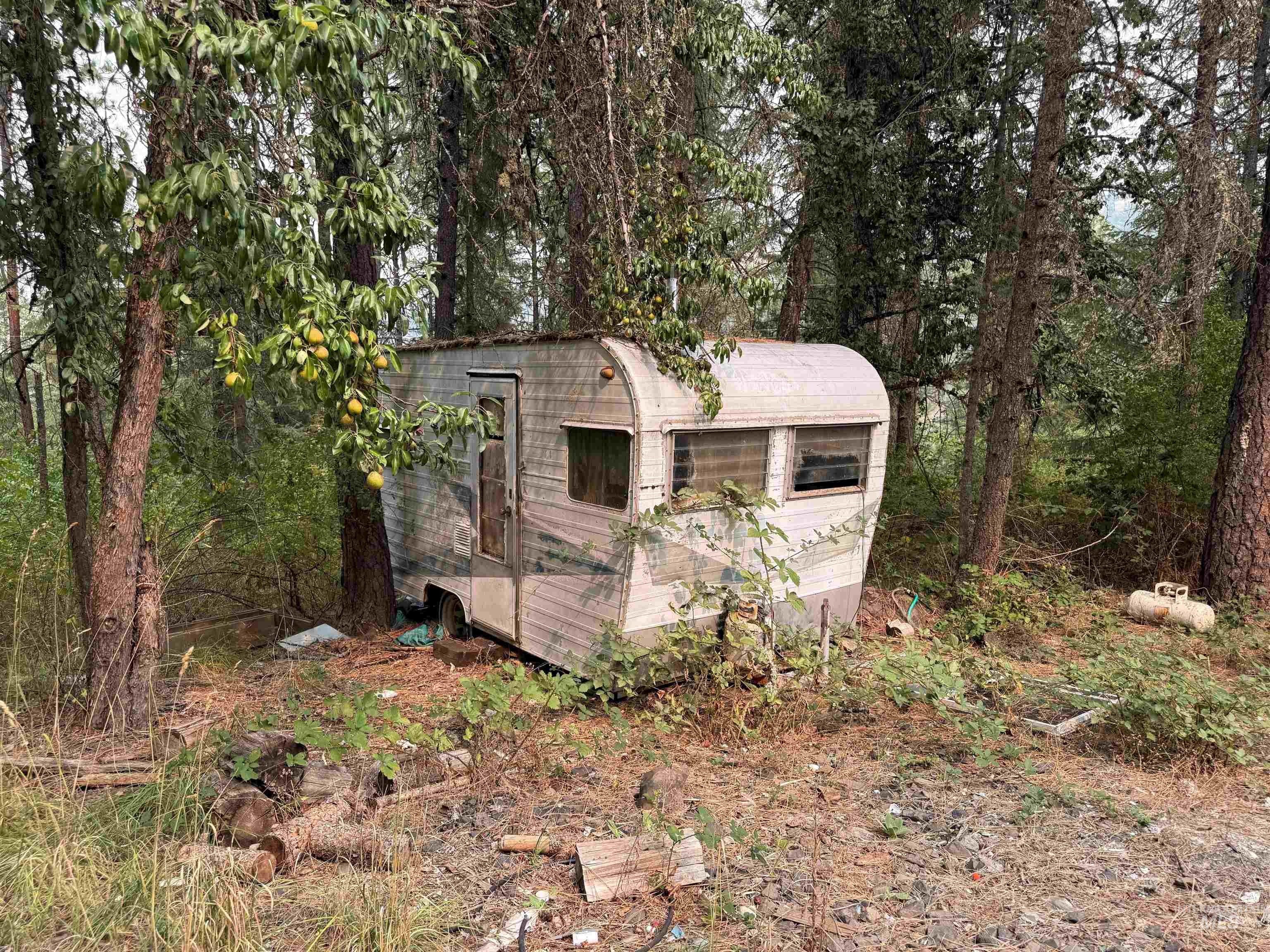 259 China Garden Rd, Harpster, Idaho 83552, Residential For Sale, Price $110,000, 98961931