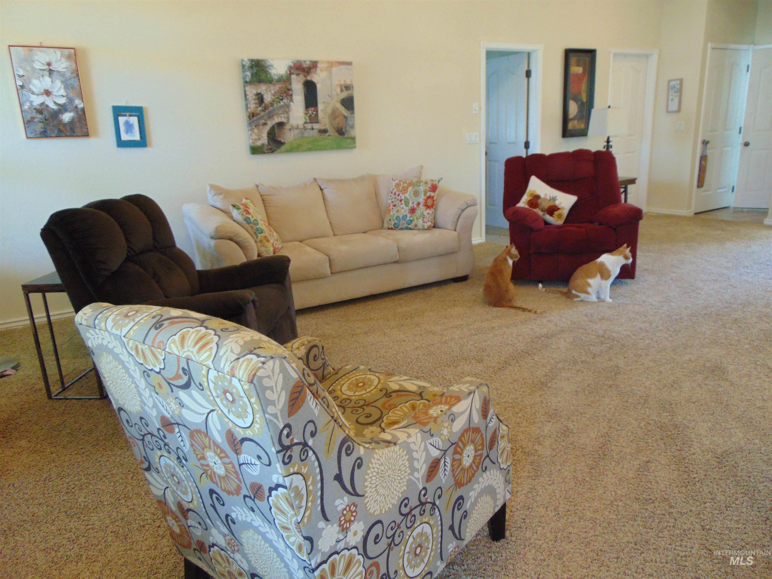Living room with carpet and baseboards