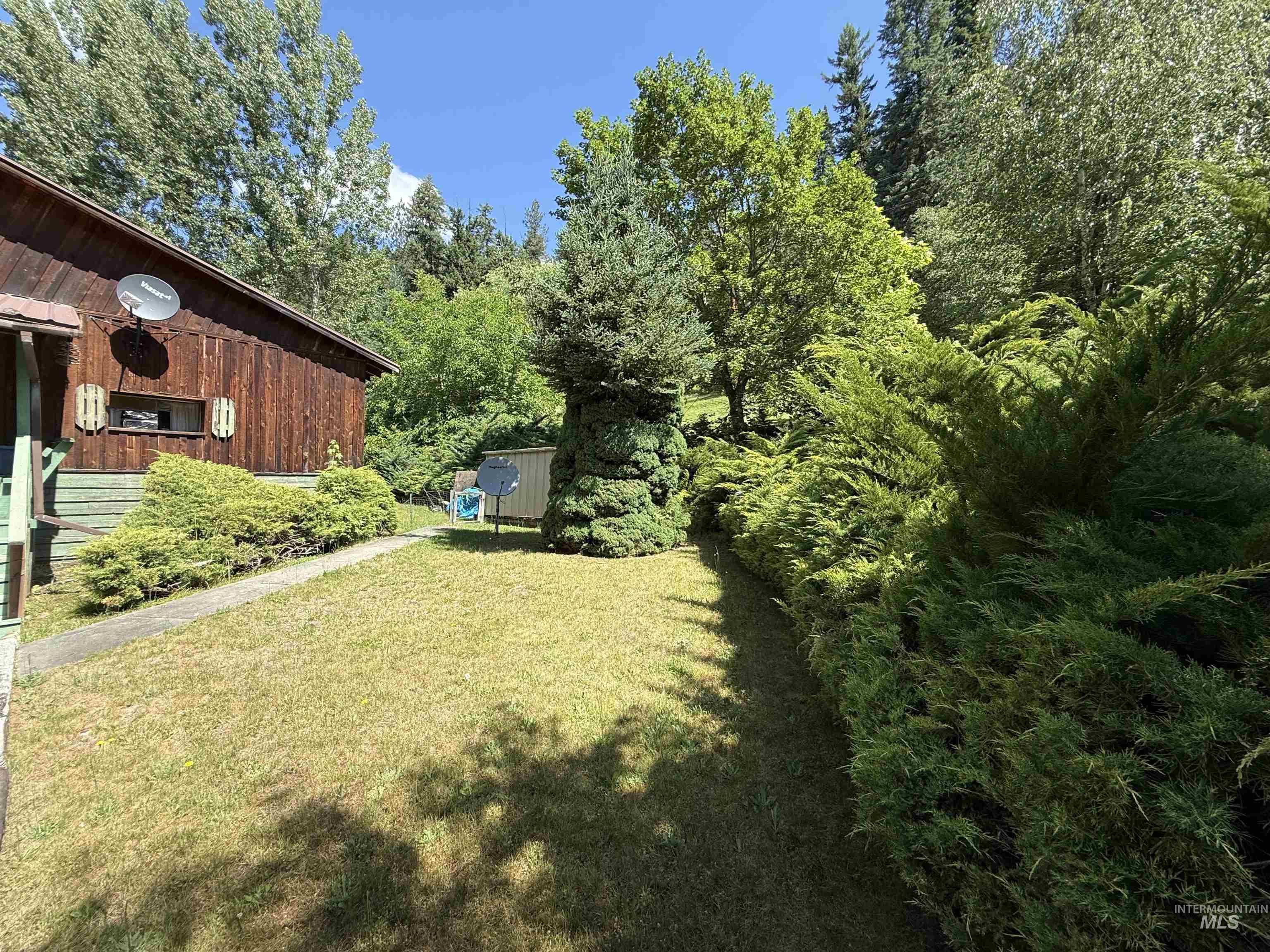 View of green lawn with a shed and a view of trees