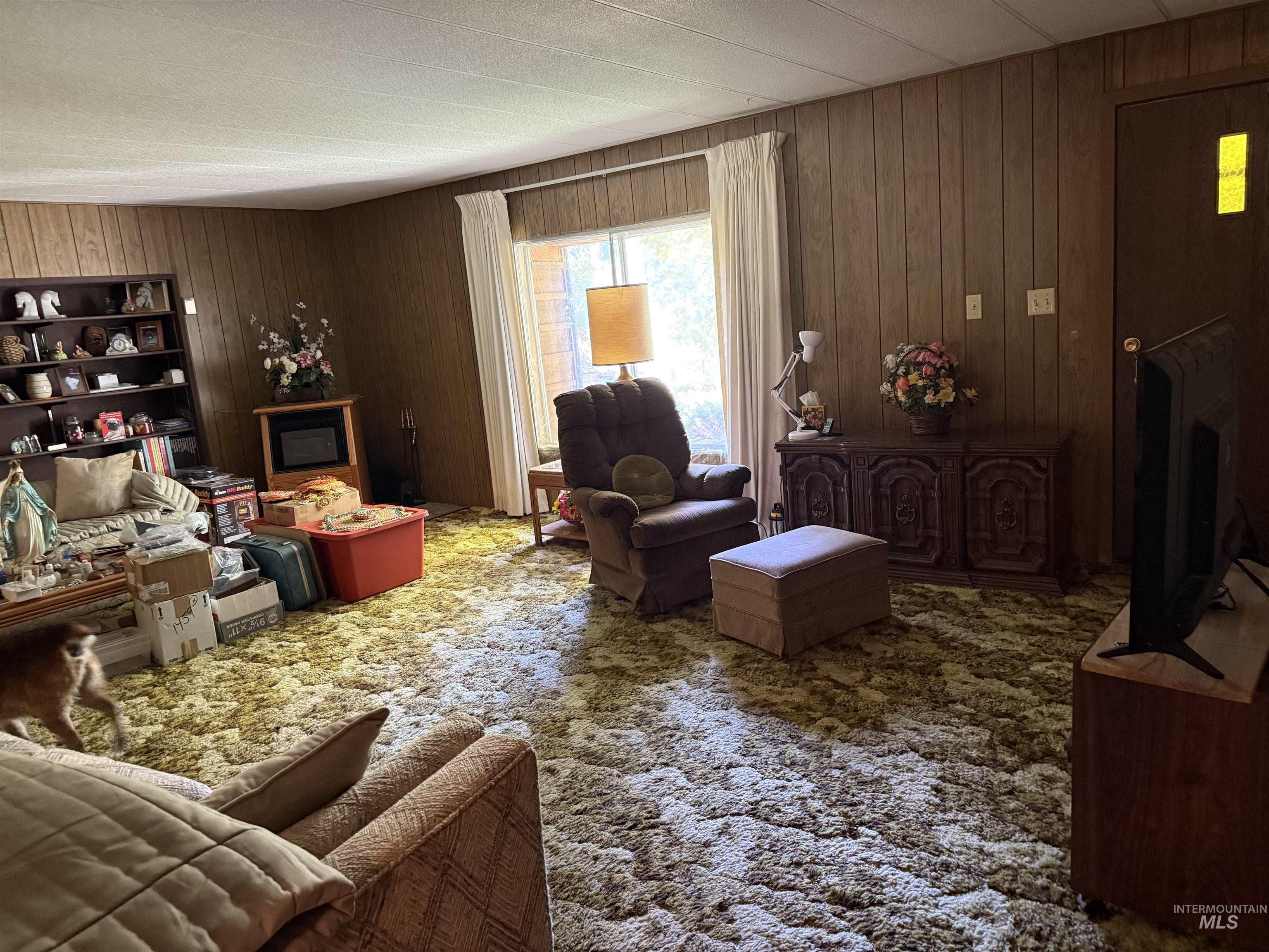 Living area with wood walls and carpet floors