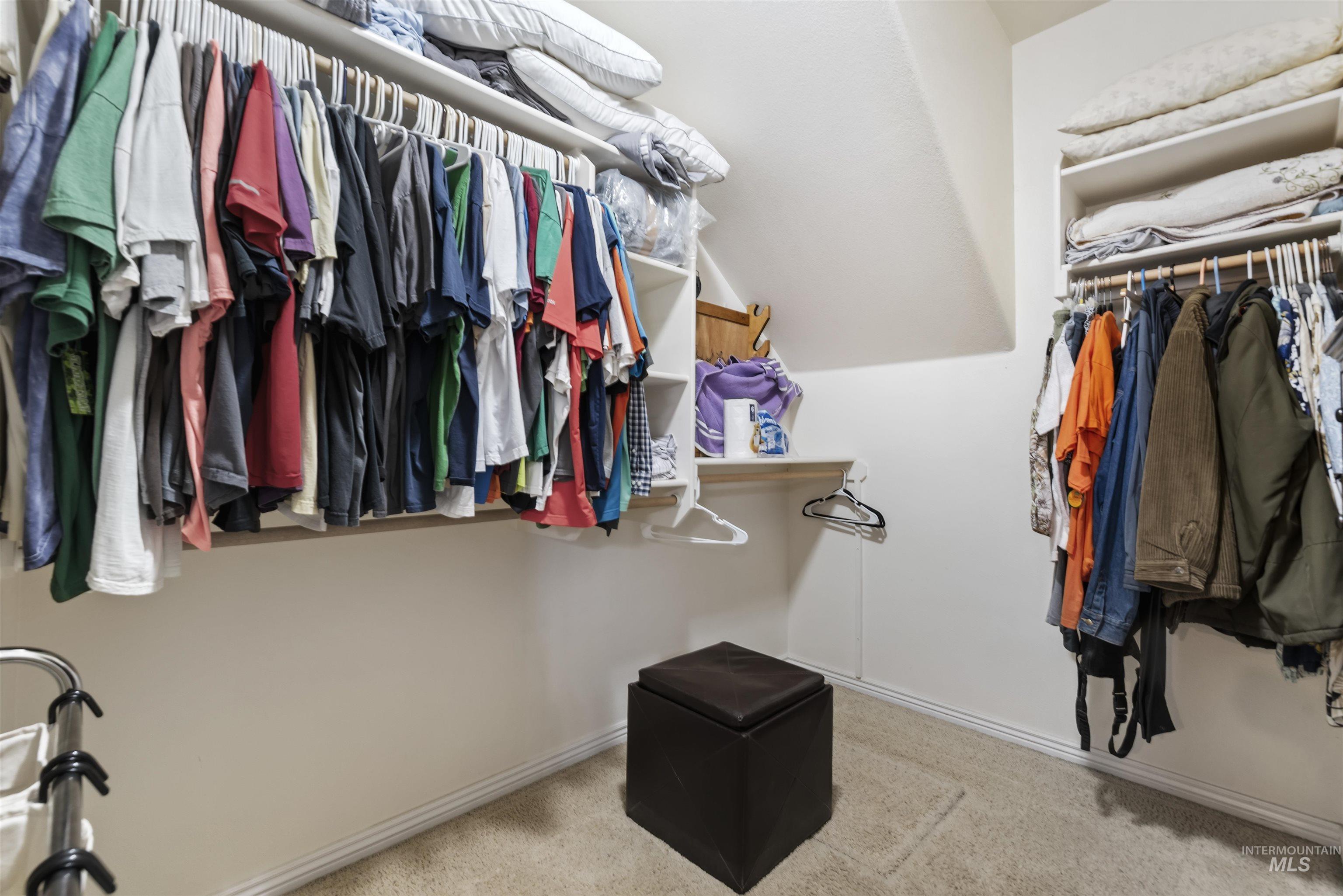 Spacious closet featuring light carpet