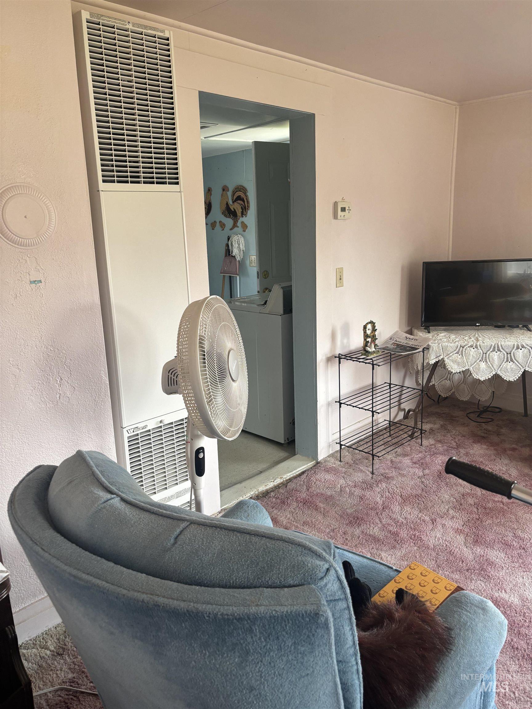 Living room featuring a heating unit, carpet floors, and washer / dryer