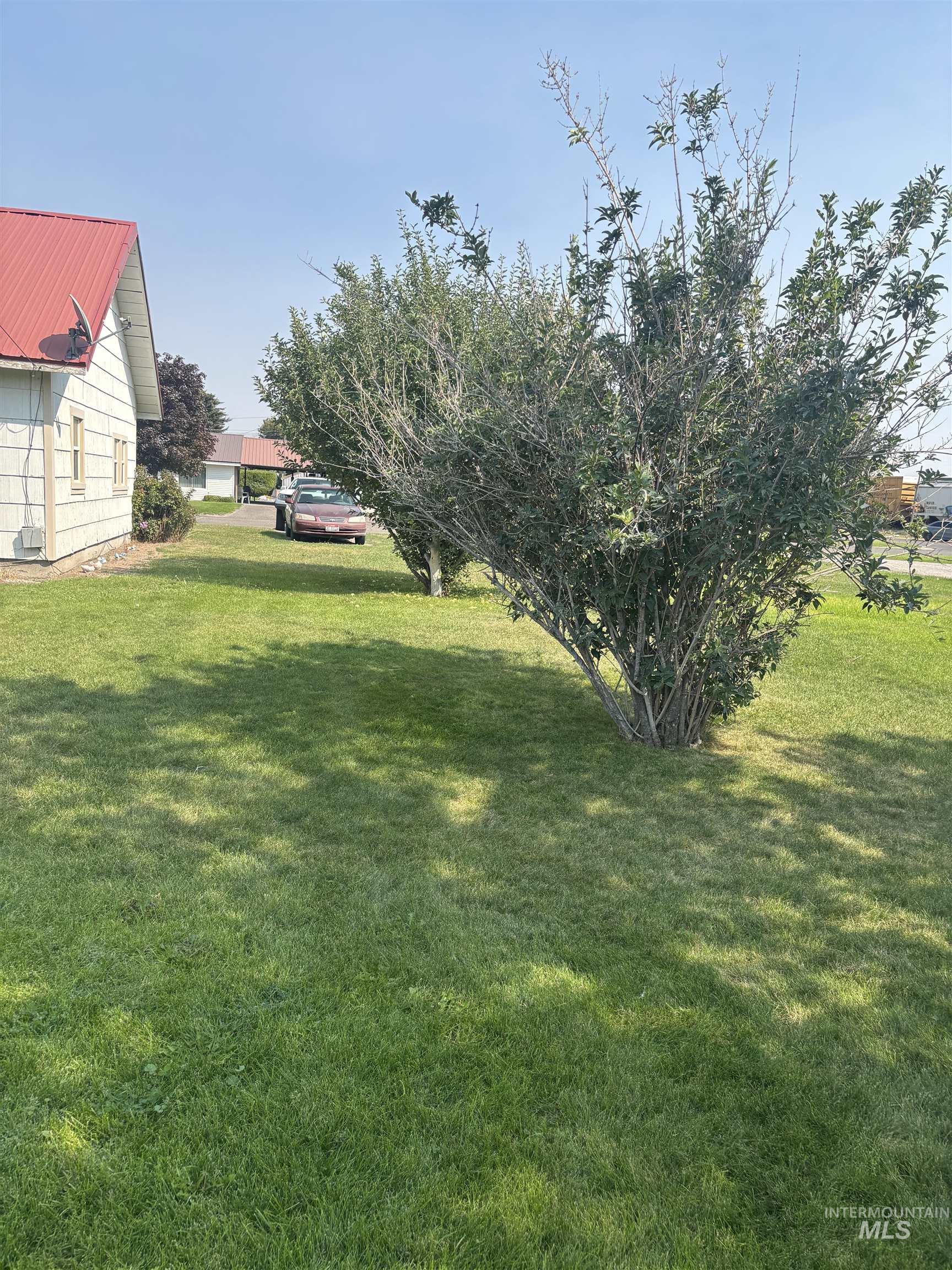 View of green lawn