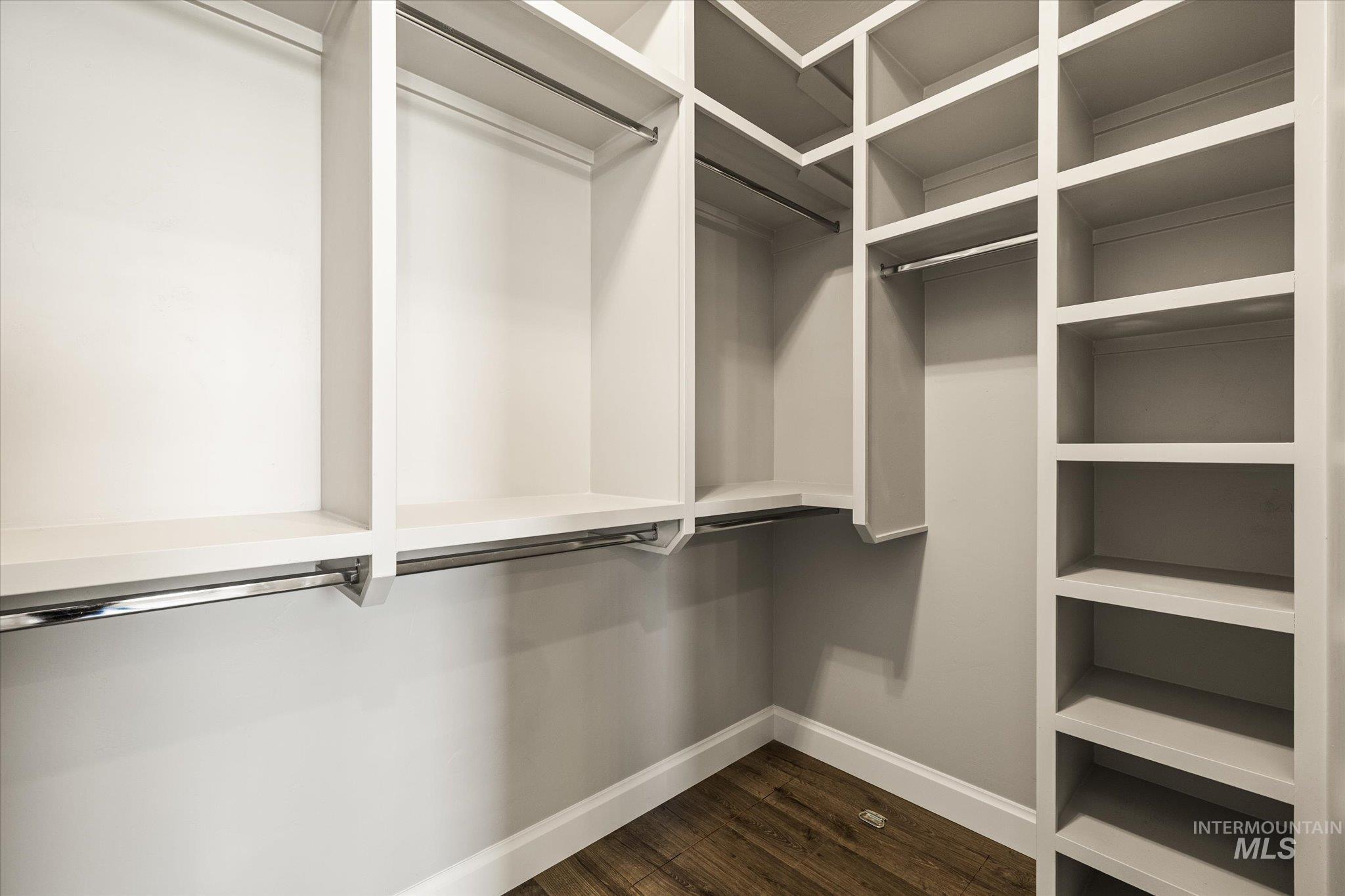 Spacious closet featuring dark wood finished floors
