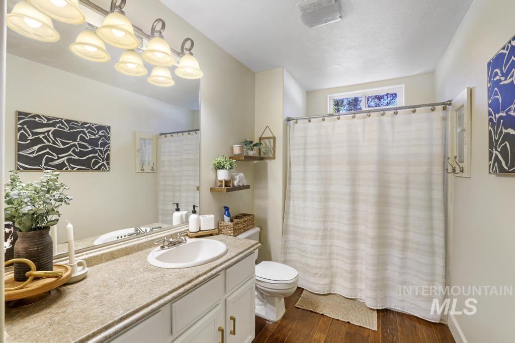 Bathroom with vanity, dark wood finished floors, and a shower with shower curtain