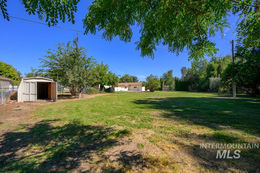 View of green lawn with a shed