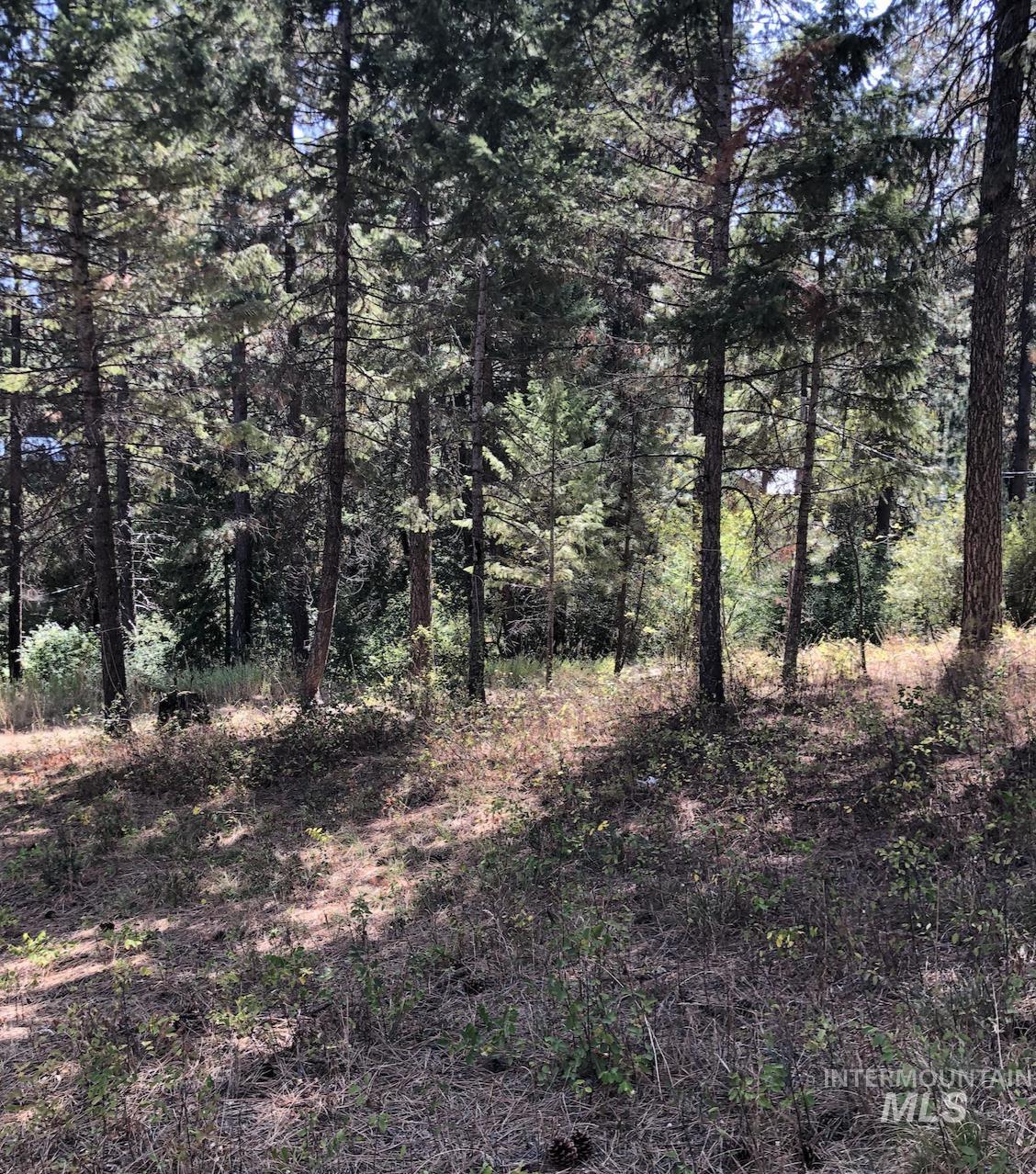 Lot 45 Scott Lane, Garden Valley, Idaho 83622, Land For Sale, Price $182,000, 98962008