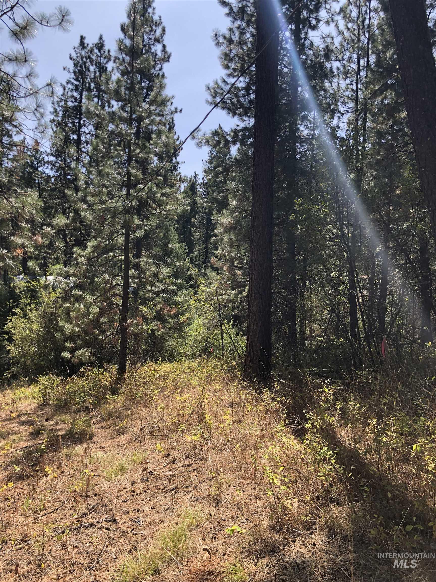 Lot 45 Scott Lane, Garden Valley, Idaho 83622, Land For Sale, Price $182,000, 98962008