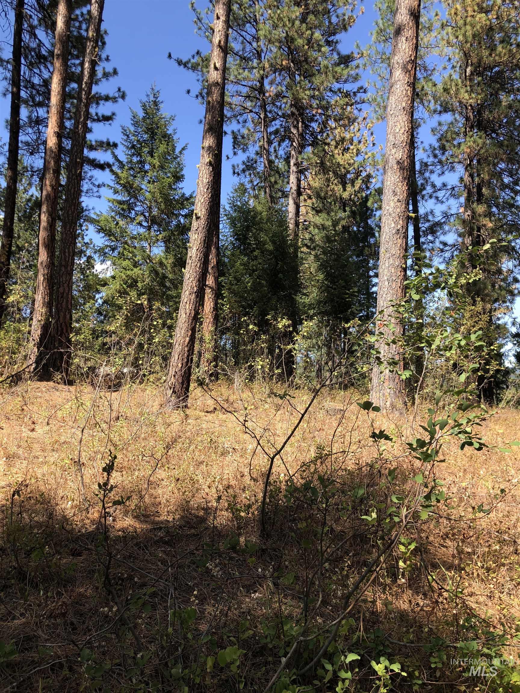 Lot 45 Scott Lane, Garden Valley, Idaho 83622, Land For Sale, Price $182,000, 98962008
