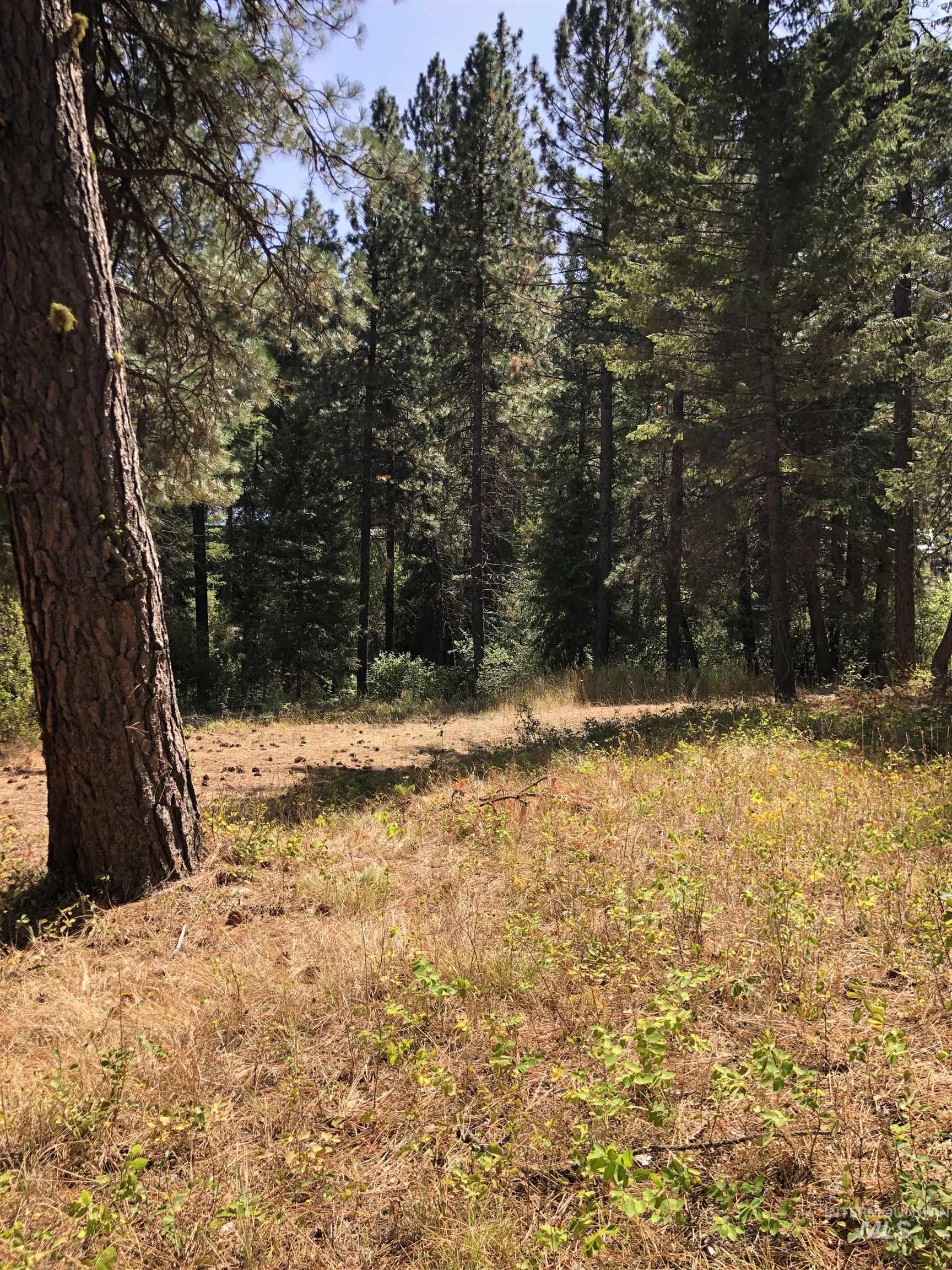 Lot 45 Scott Lane, Garden Valley, Idaho 83622, Land For Sale, Price $182,000, 98962008