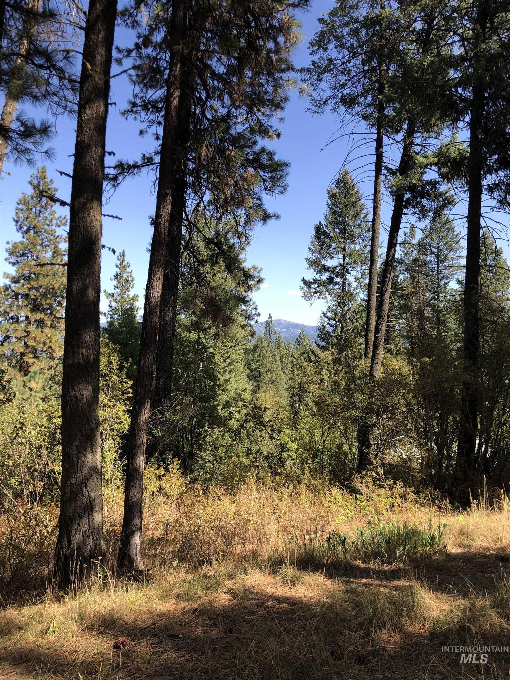 Lot 45 Scott Lane, Garden Valley, Idaho 83622, Land For Sale, Price $182,000, 98962008