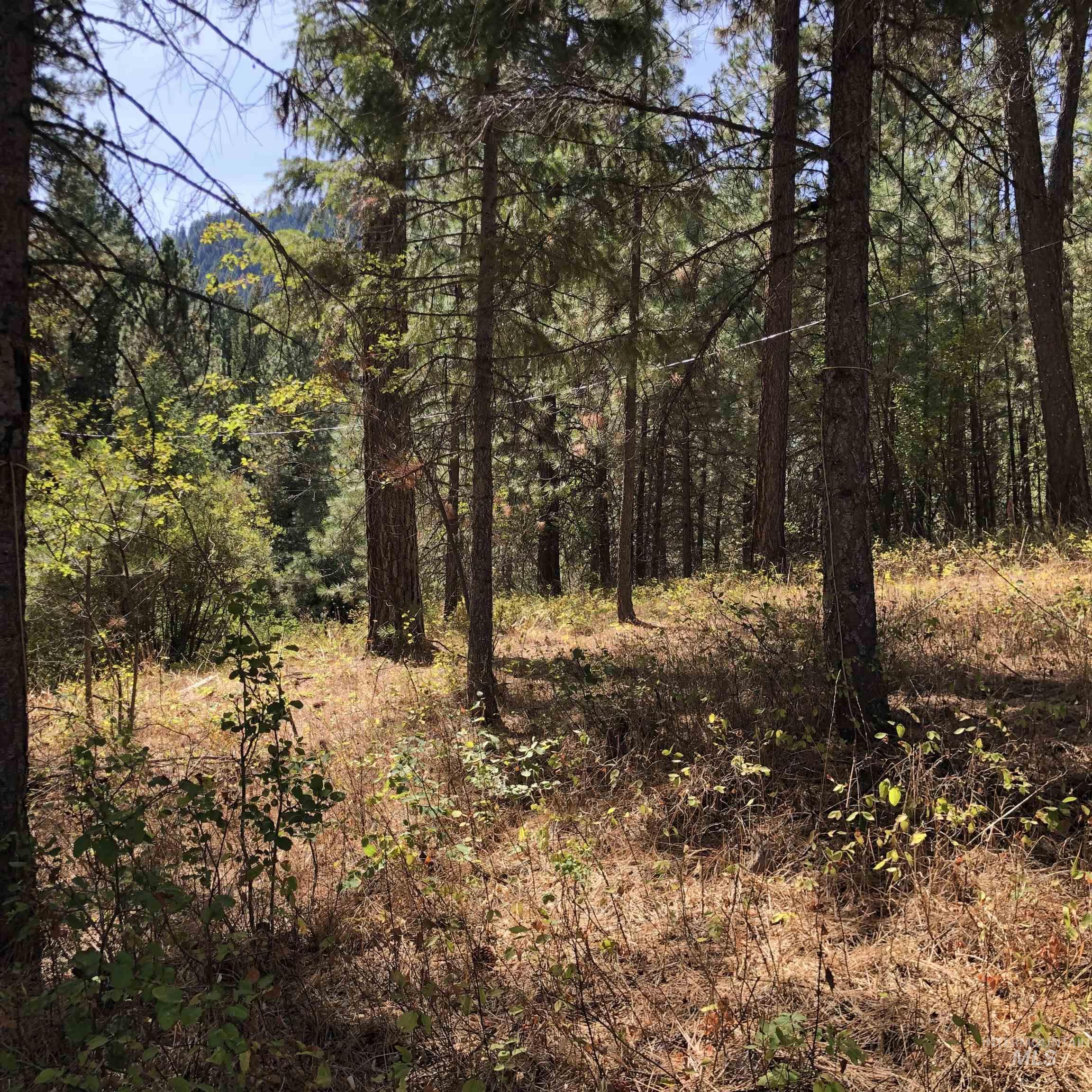 Lot 45 Scott Lane, Garden Valley, Idaho 83622, Land For Sale, Price $182,000, 98962008