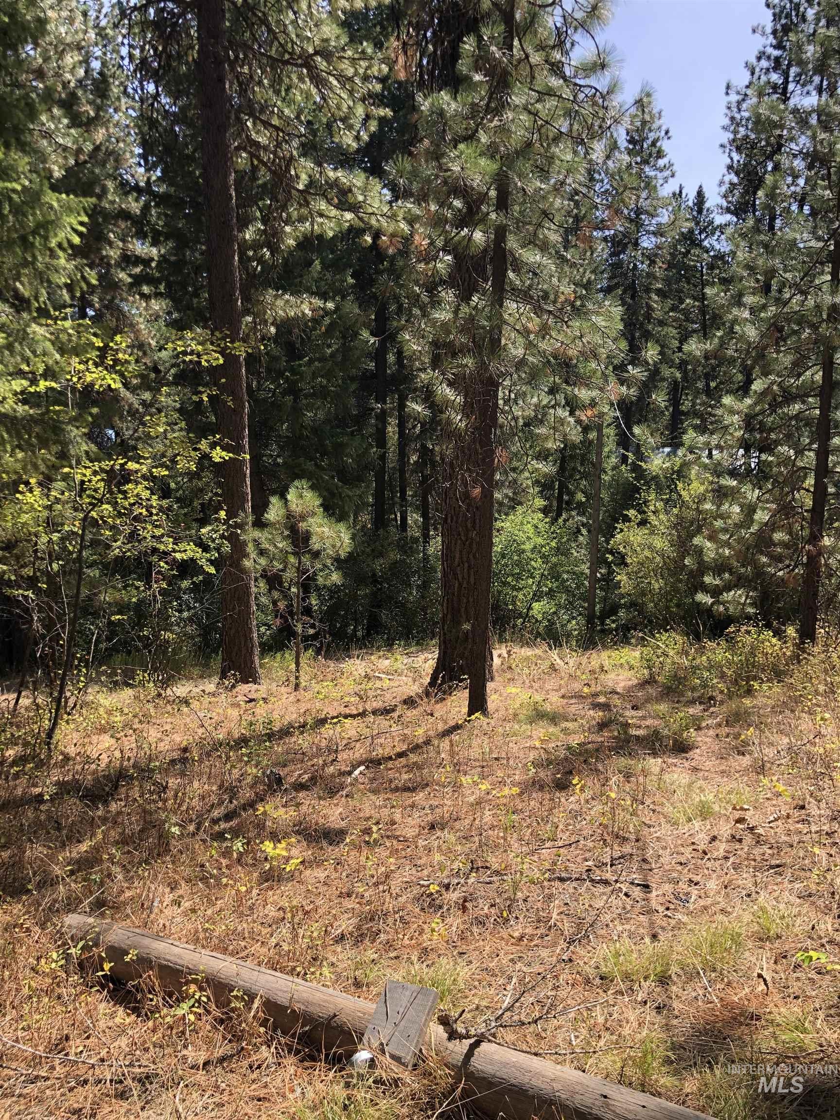 Lot 45 Scott Lane, Garden Valley, Idaho 83622, Land For Sale, Price $182,000, 98962008