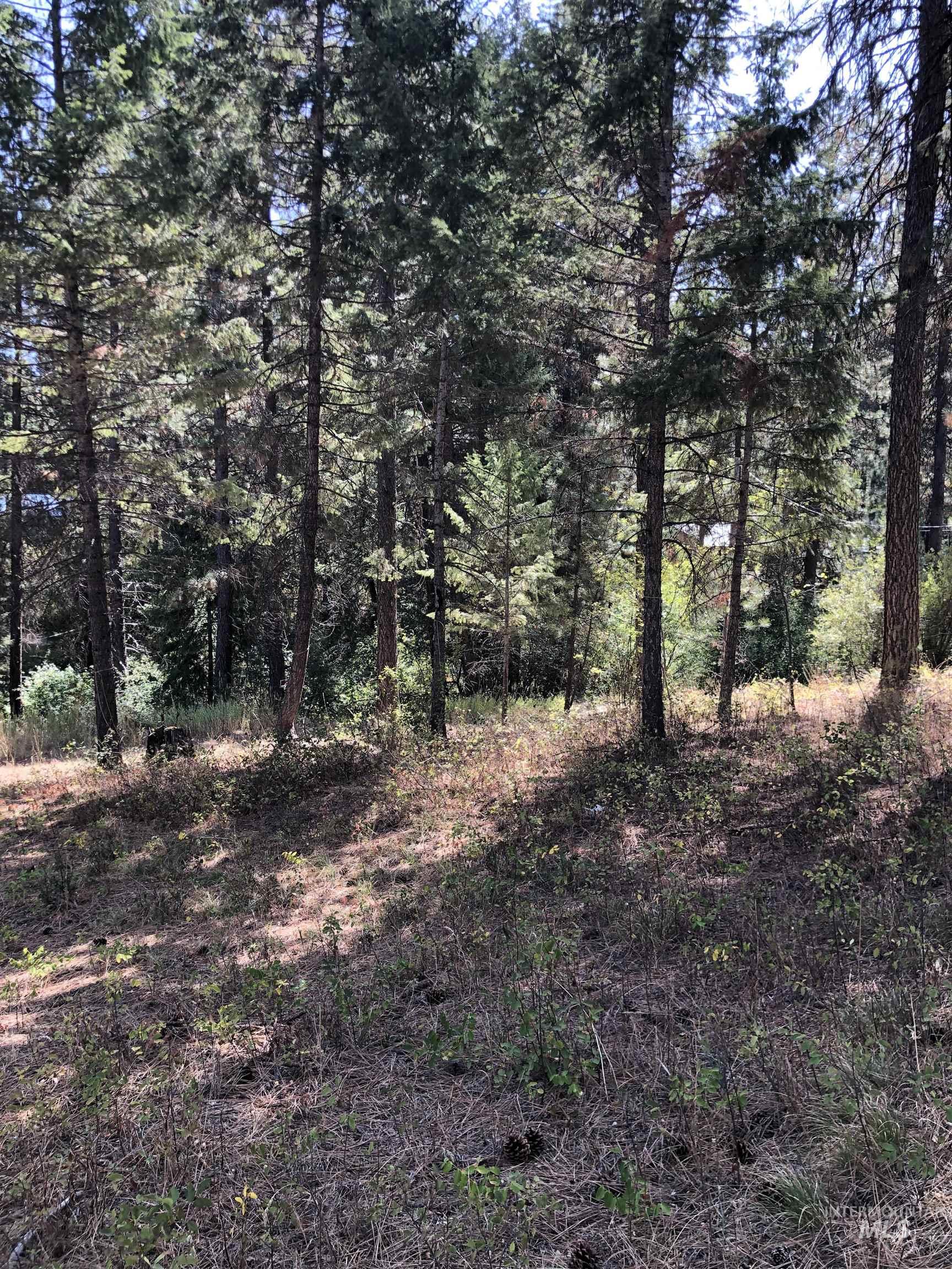 Lot 45 Scott Lane, Garden Valley, Idaho 83622, Land For Sale, Price $182,000, 98962008
