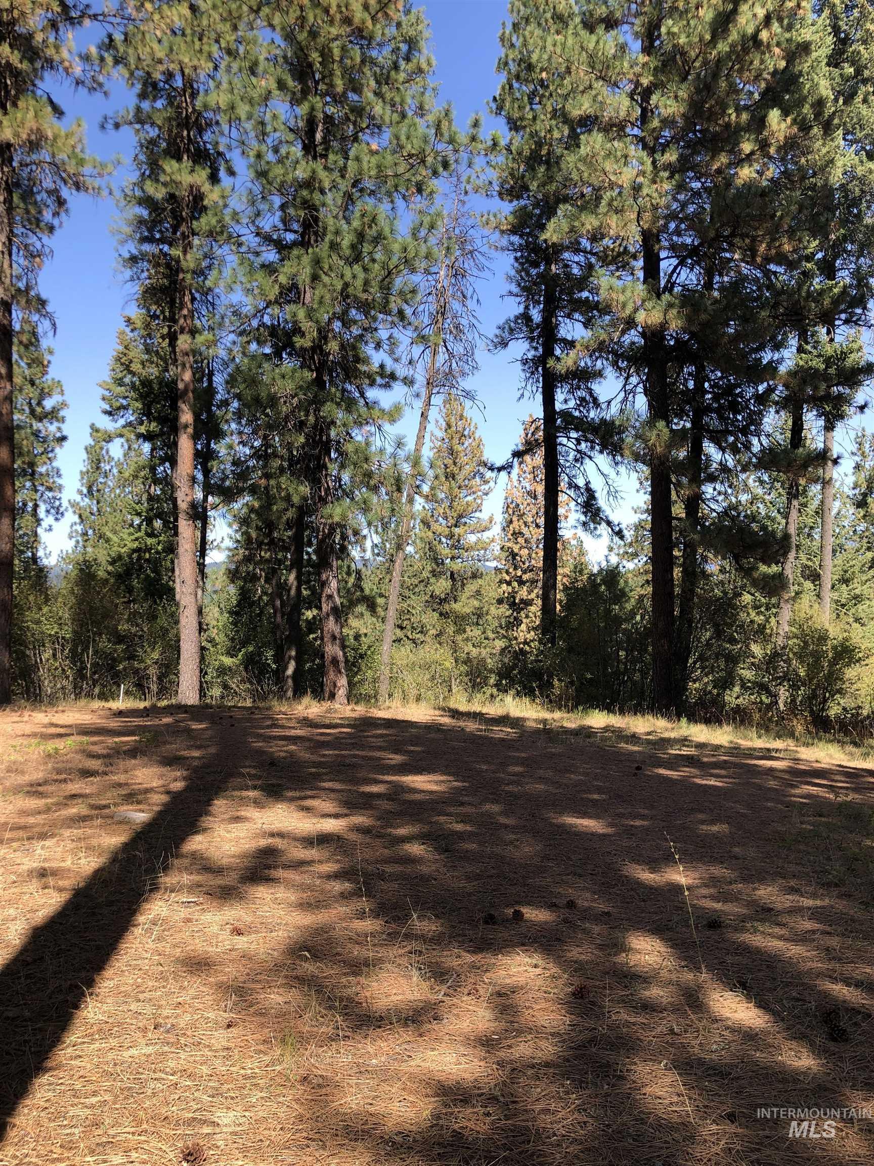 Lot 45 Scott Lane, Garden Valley, Idaho 83622, Land For Sale, Price $182,000, 98962008