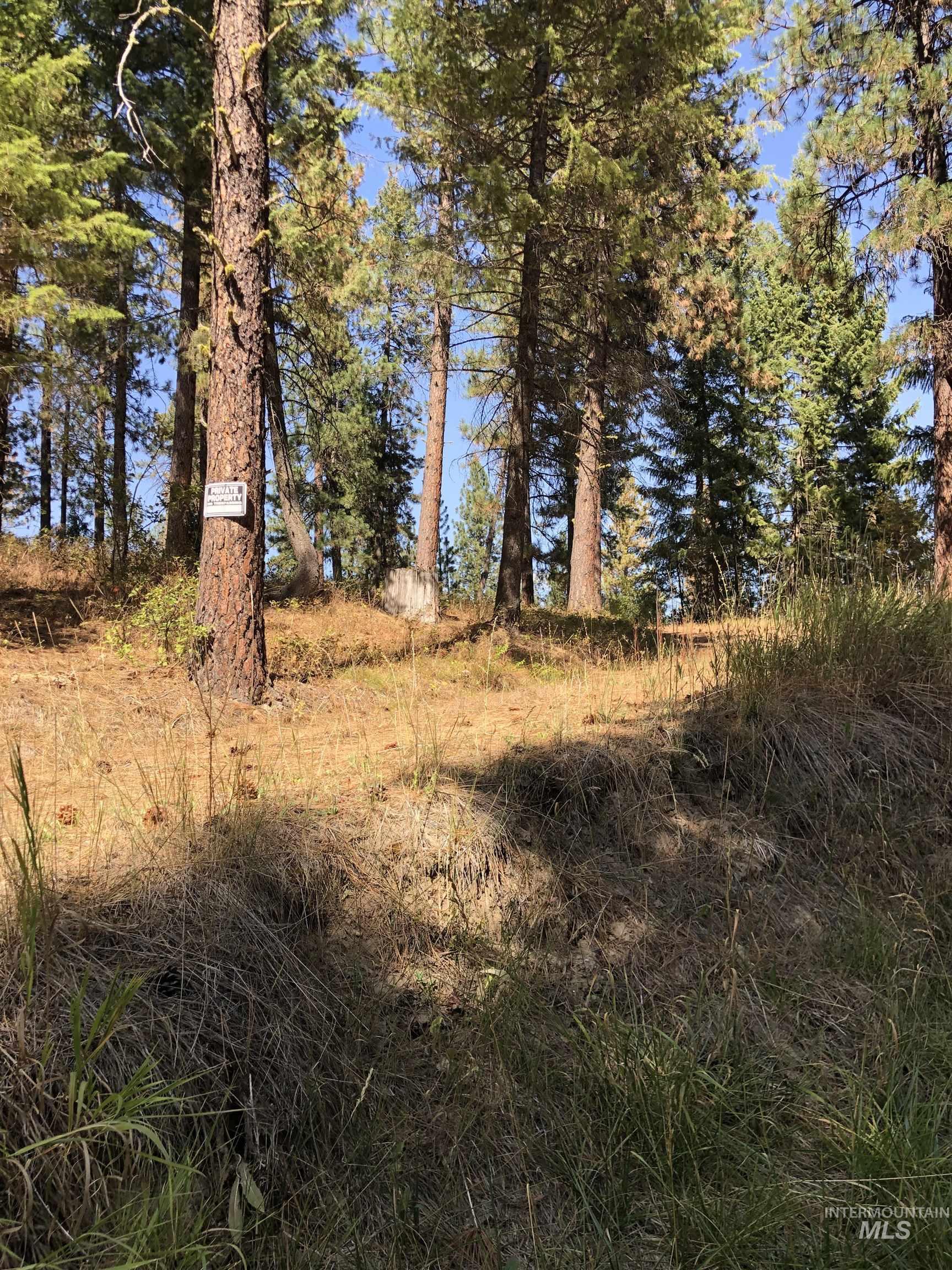 Lot 45 Scott Lane, Garden Valley, Idaho 83622, Land For Sale, Price $182,000, 98962008