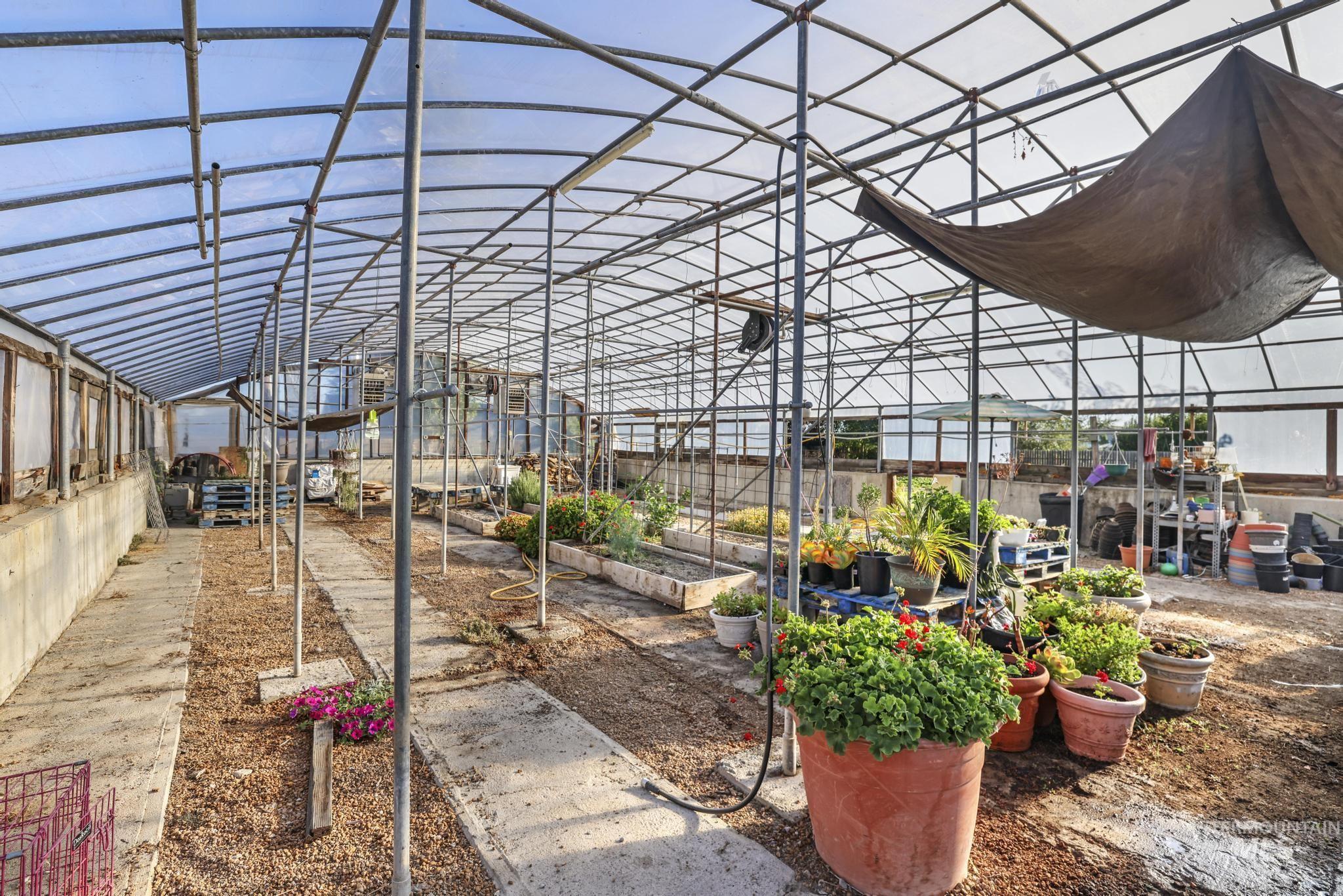 Green house
