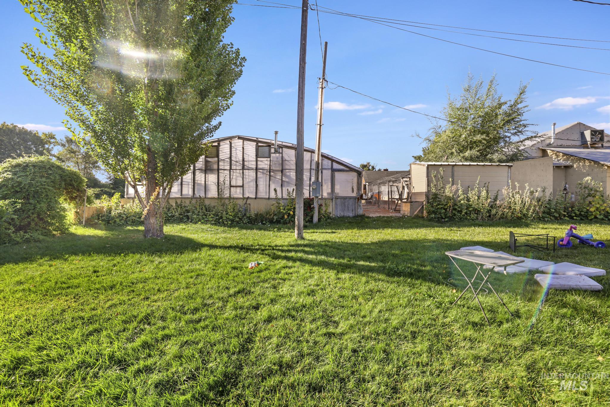 View of green lawn