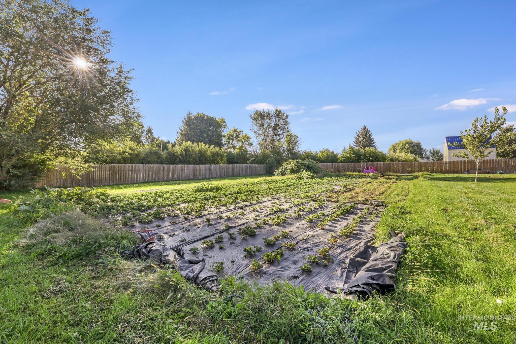 View of fenced backyard